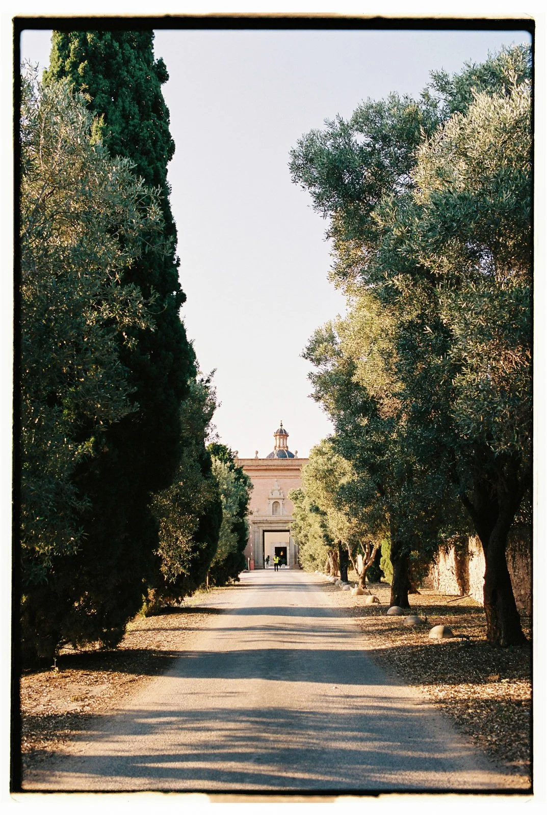 cartuja-analog-wedding-1.jpg