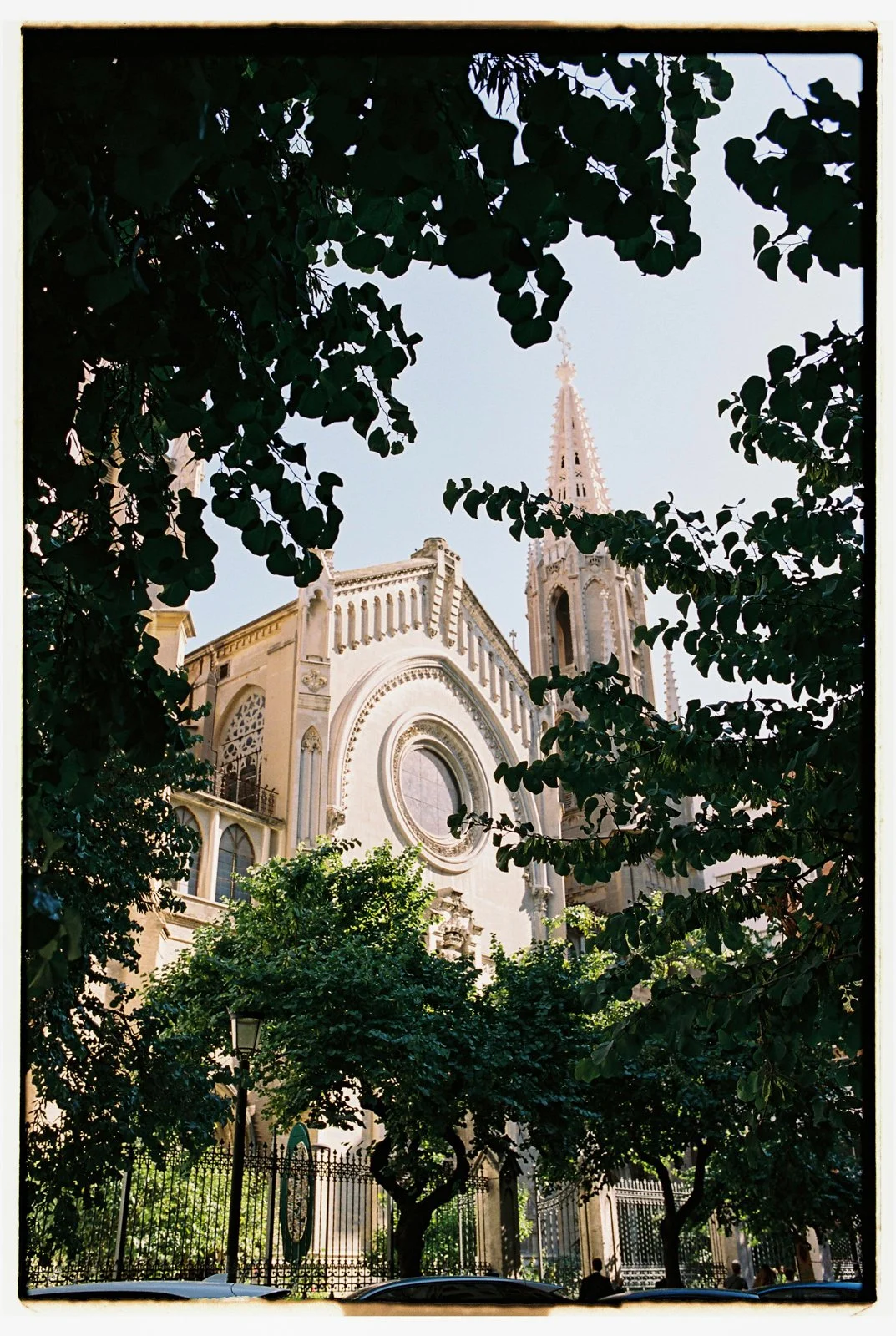 cartuja-analog-wedding-654783.jpg