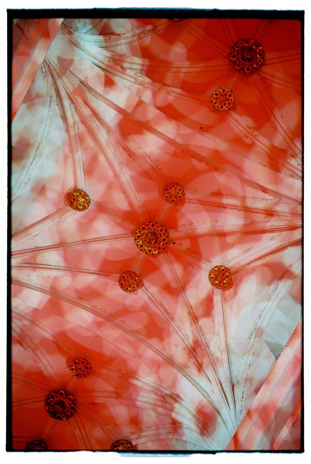 cartuja-analog-wedding-100000002.jpg