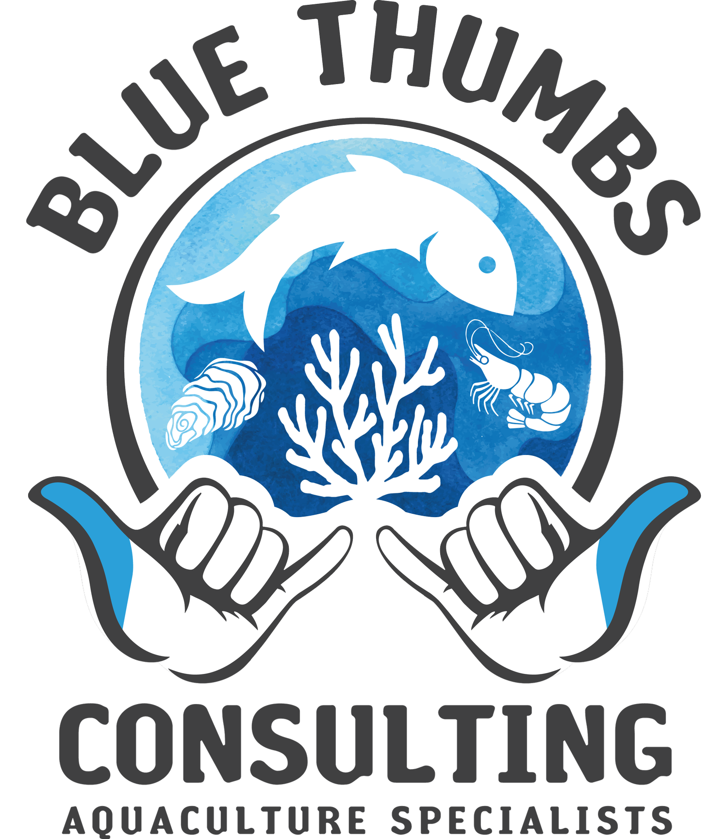 Blue Thumbs Consulting 