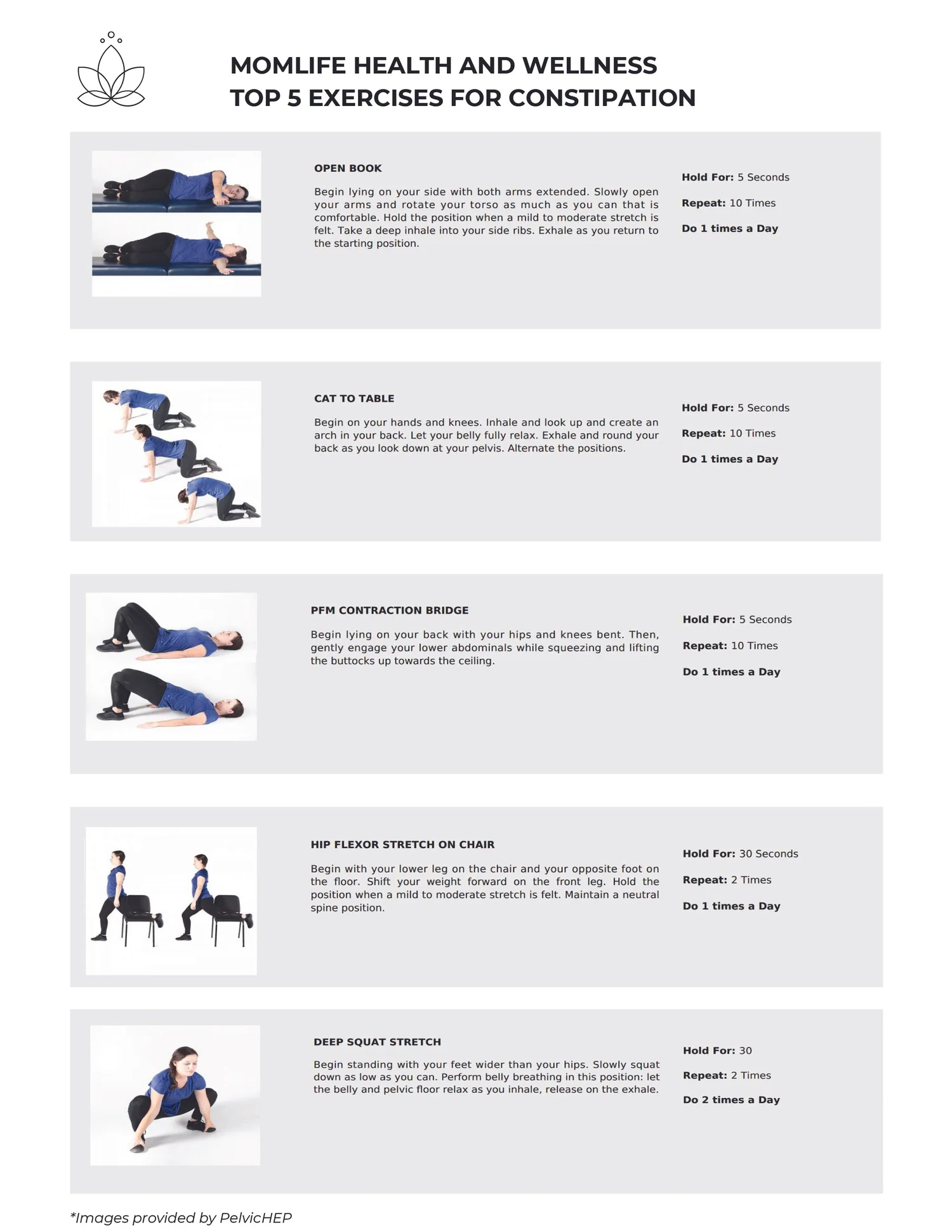 Constipation Hand Out Exercise .pdf Constipation exercises — Pelvic Floor & Perinatal Physical Therapy in ...