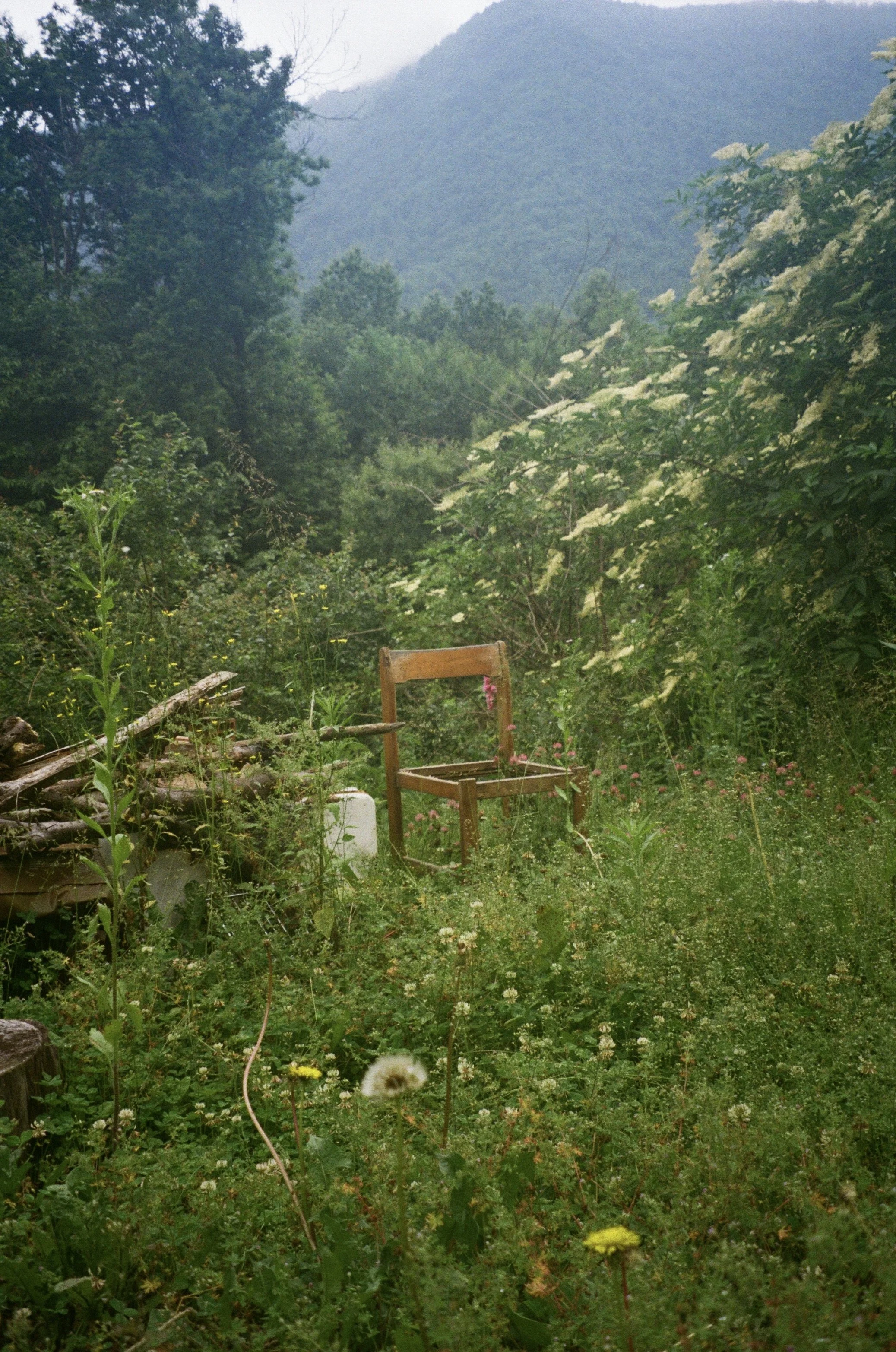 Piemont, 2024