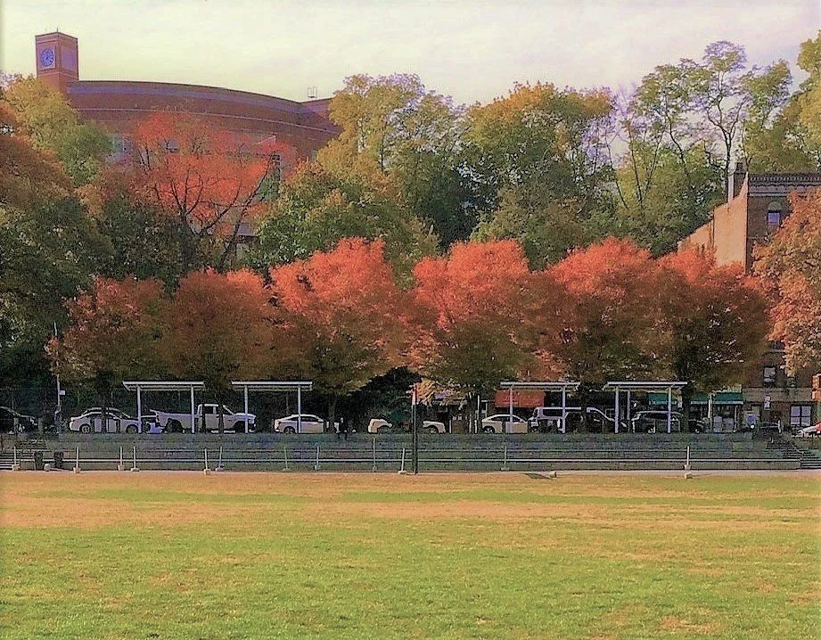 VCP RED TREES.jpeg