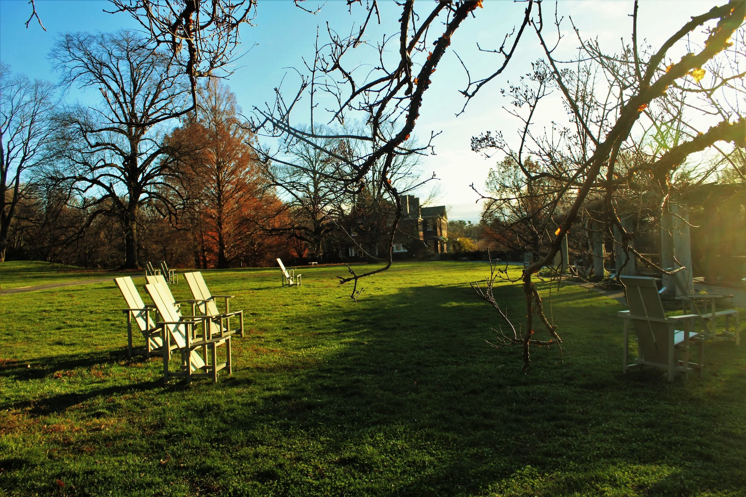 Front lawn WH 2022.jpg