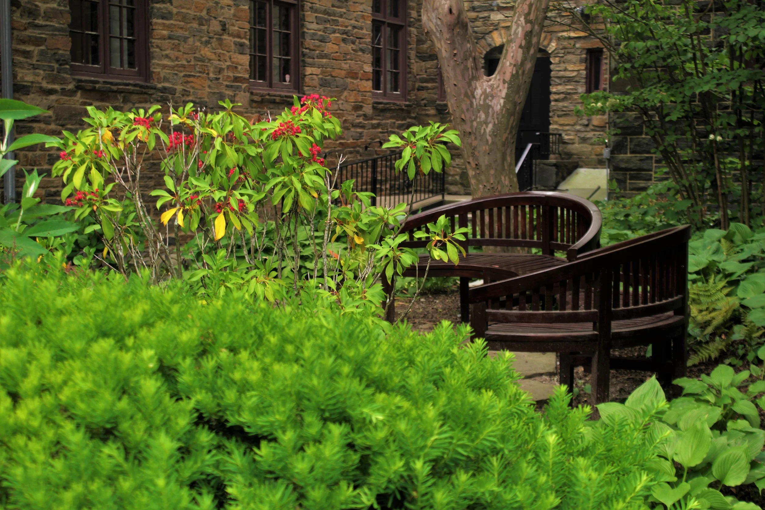 CC 2 Brown benches.jpg