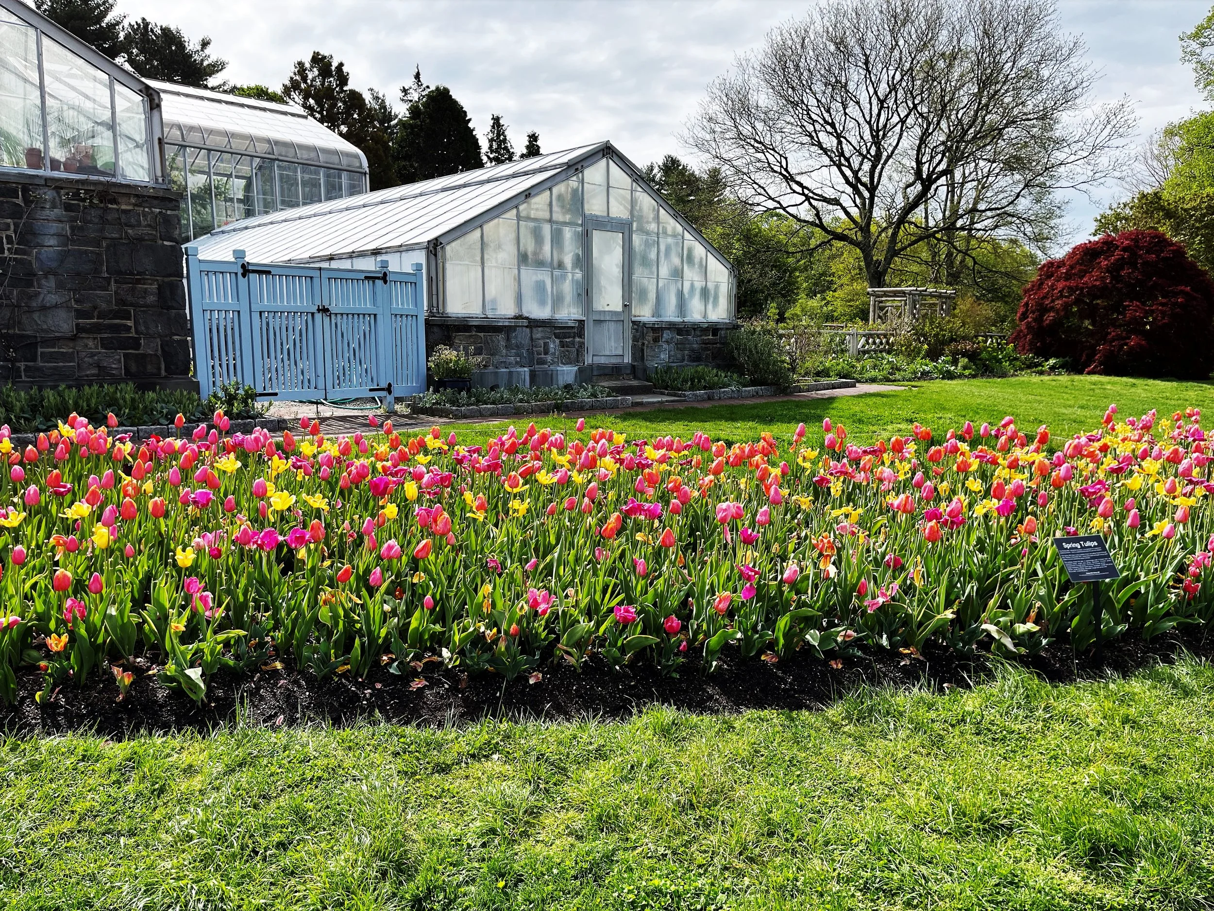 AS FOLDER4 Greenhouse WH.jpg