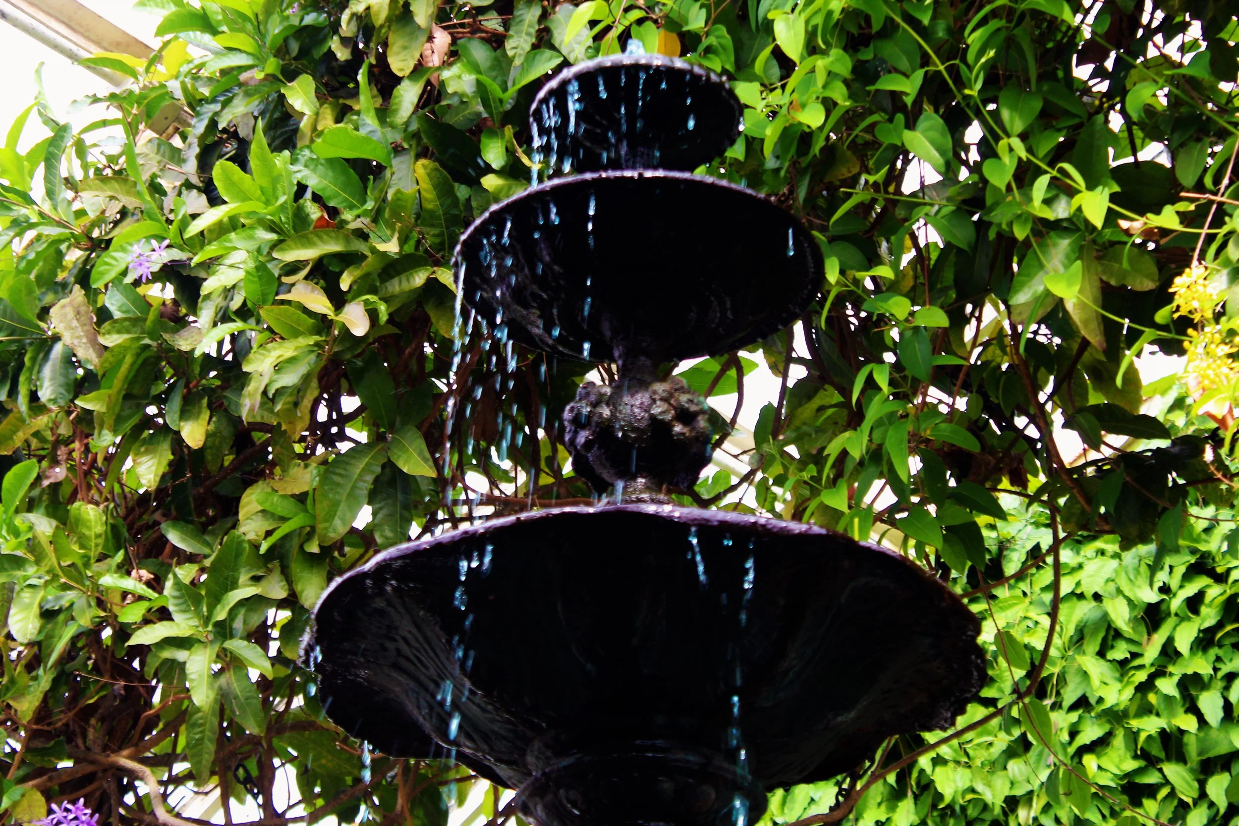 BG Close up waterfall.jpg