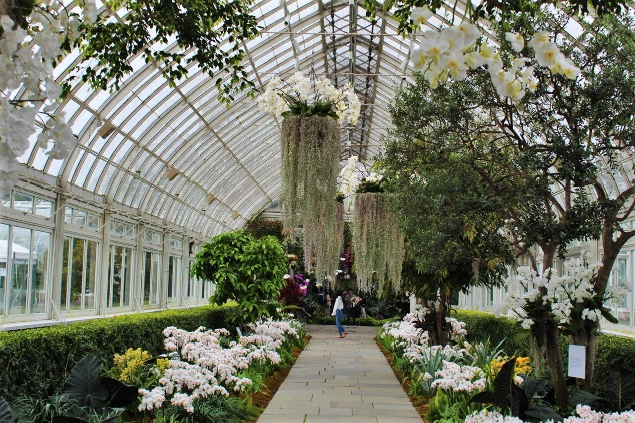 BG Greenhouse walkway.jpeg