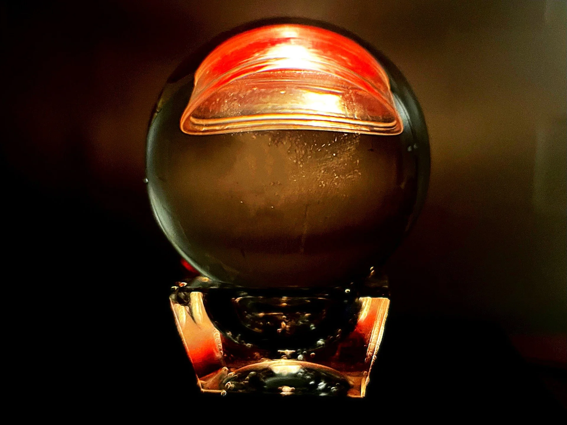 Close -up K9 Cande photo affect.jpg