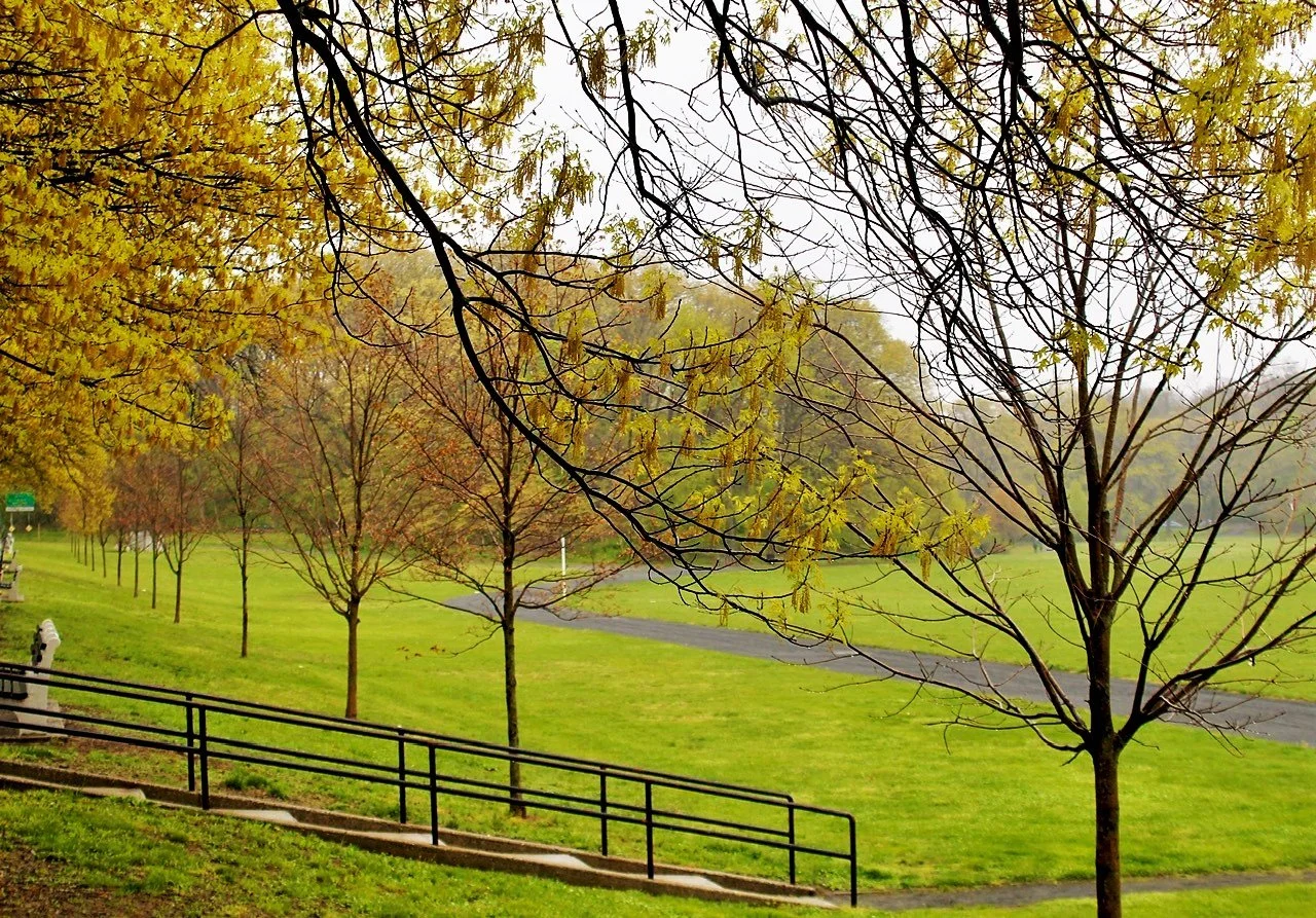 VCP Stairs June.jpeg