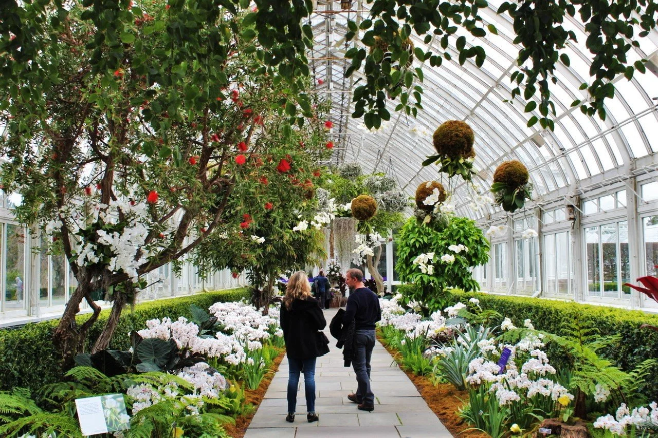 BG greenhouse view.jpeg