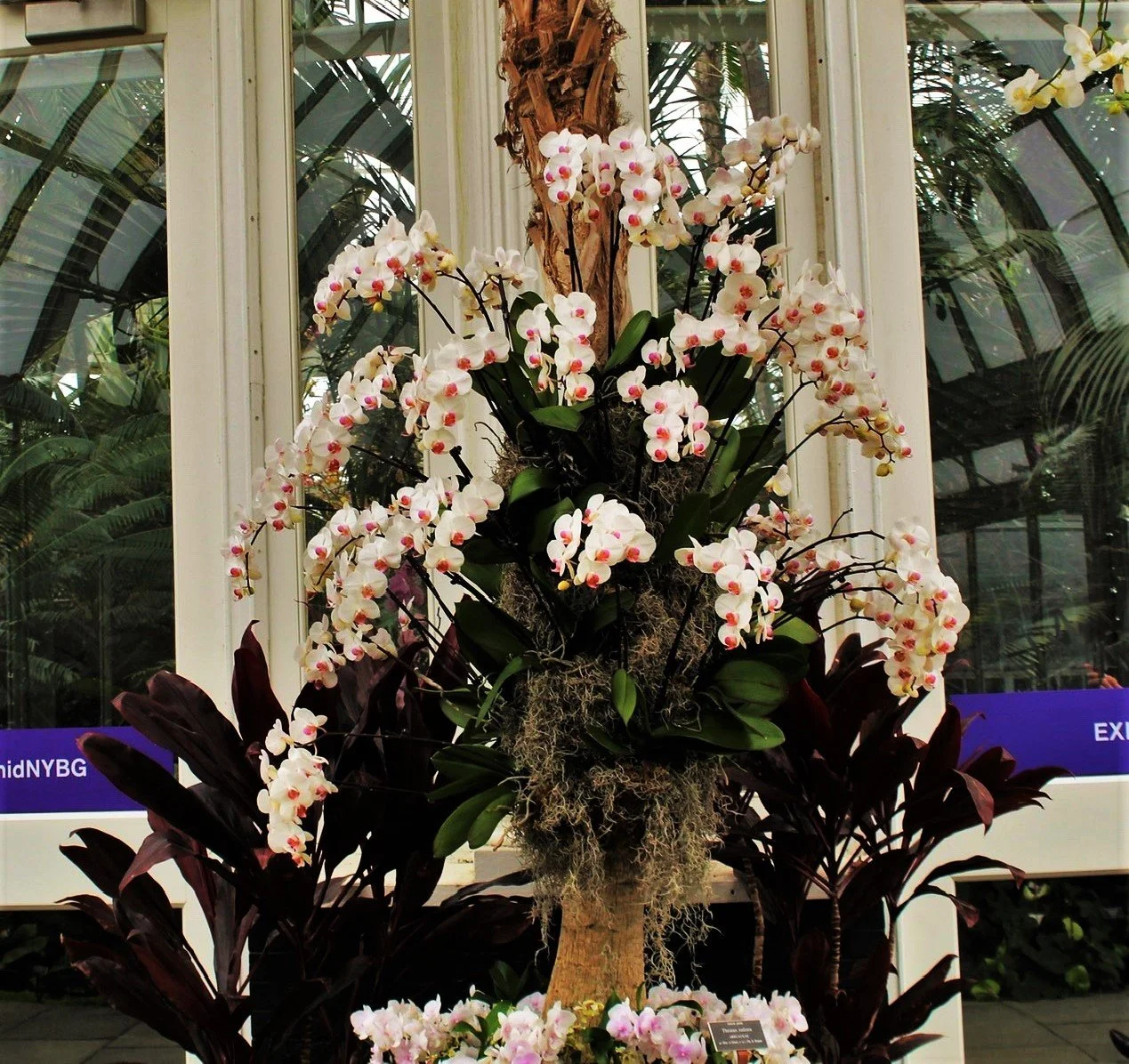 BG Greenhouse Flowers.jpeg