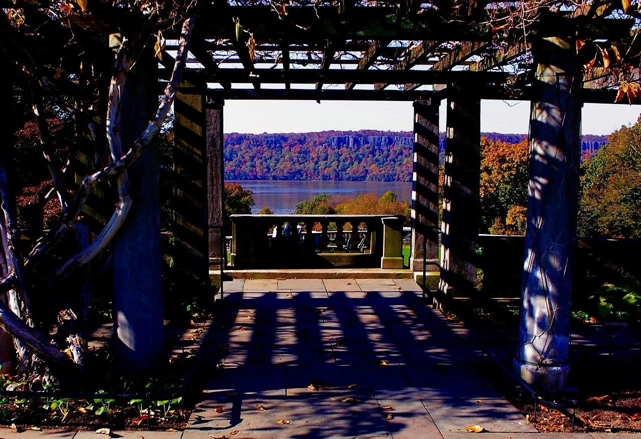 November View WH.jpeg