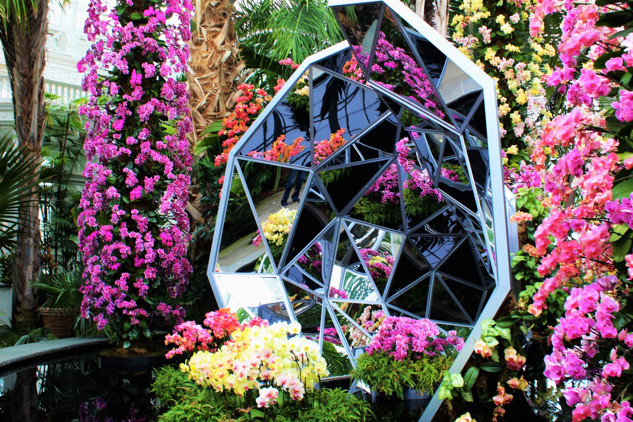 BG Flower display.jpg