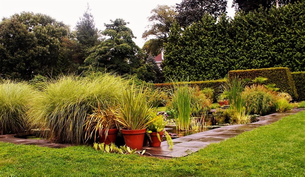 Sept WH Pond view.jpeg