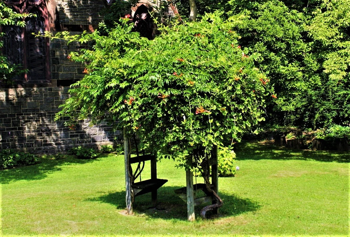 CC Love seat summer.jpeg