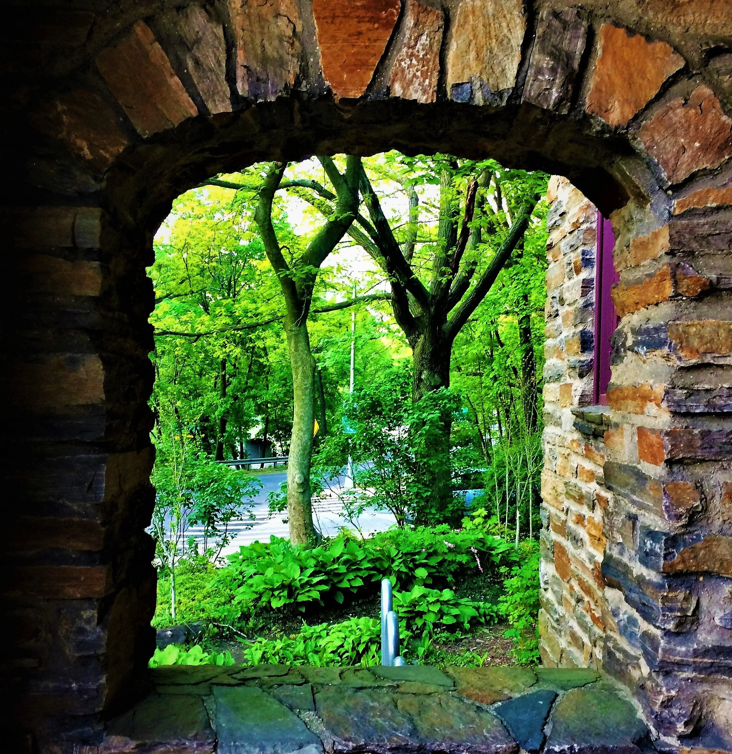 CC Summer window view.JPG