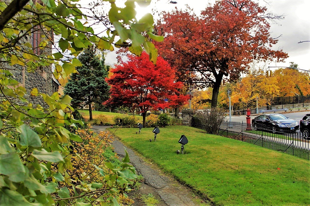 CC Fall,front lawn 2021.jpeg