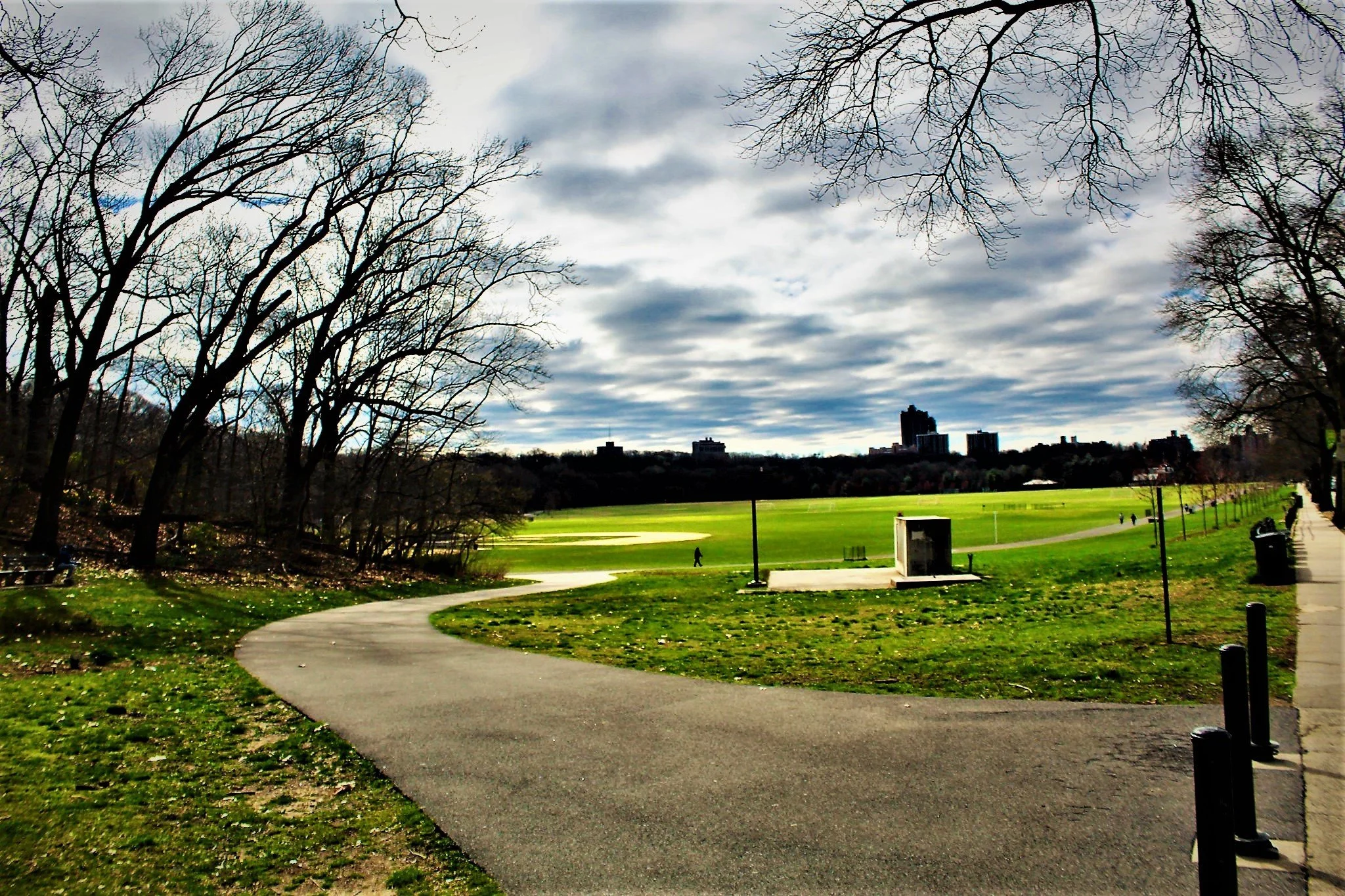 VCP Summer - Copy (2).jpg