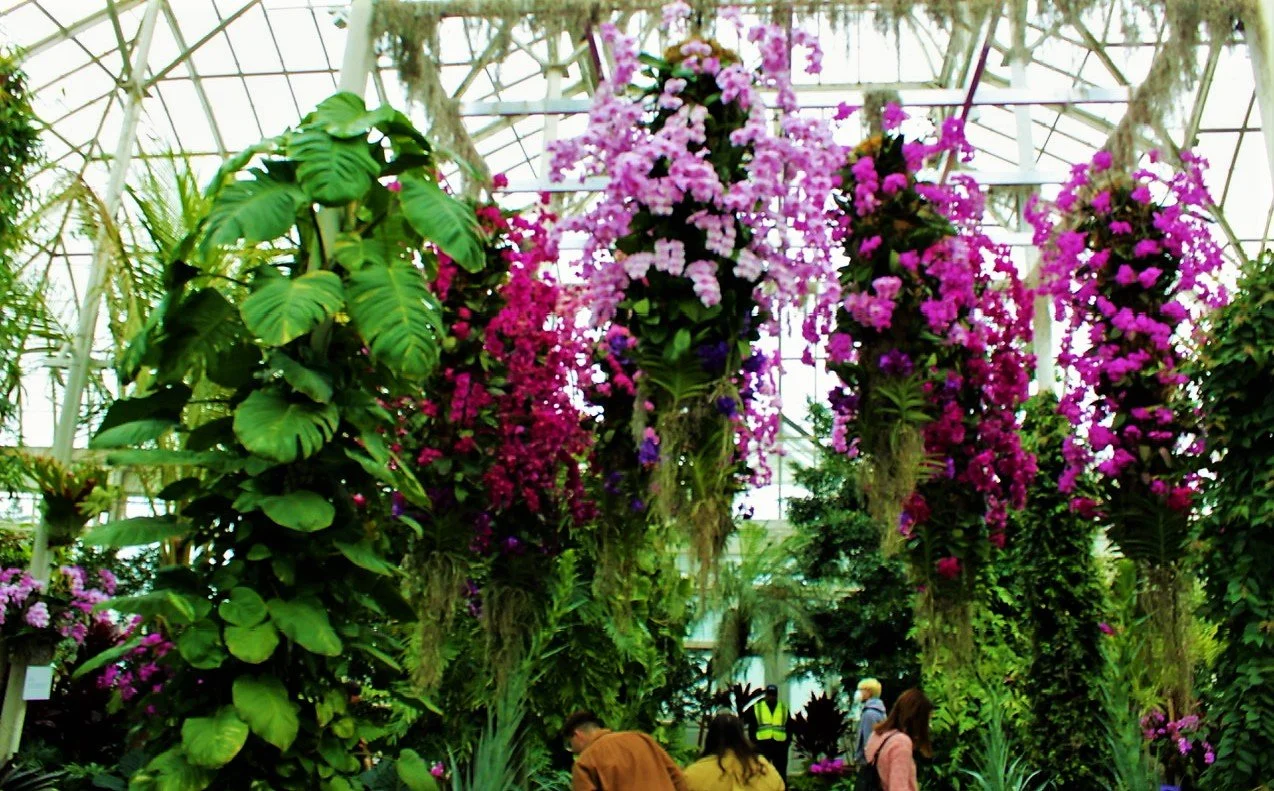 BG Greenhouse Flowers top view.jpeg