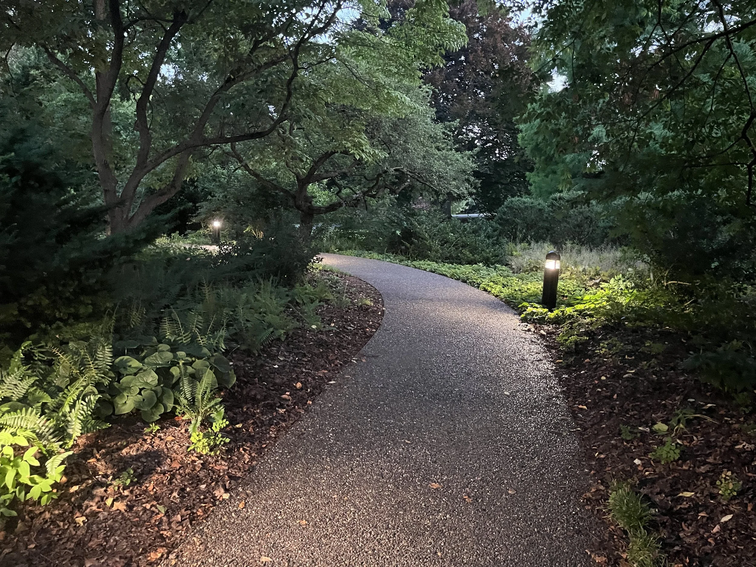 Wh entance path1.jpg