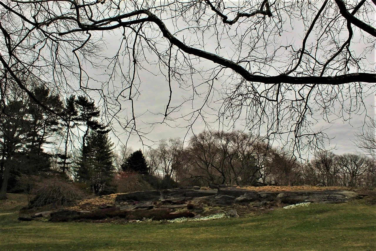 BG March field1 - Copy.jpeg