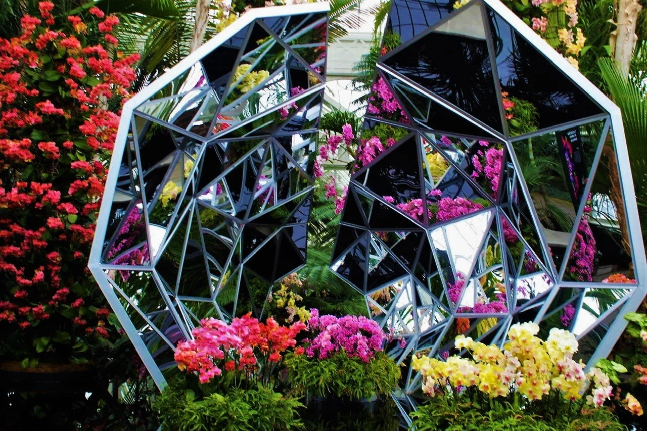 BG Greenhouse mirror.jpeg