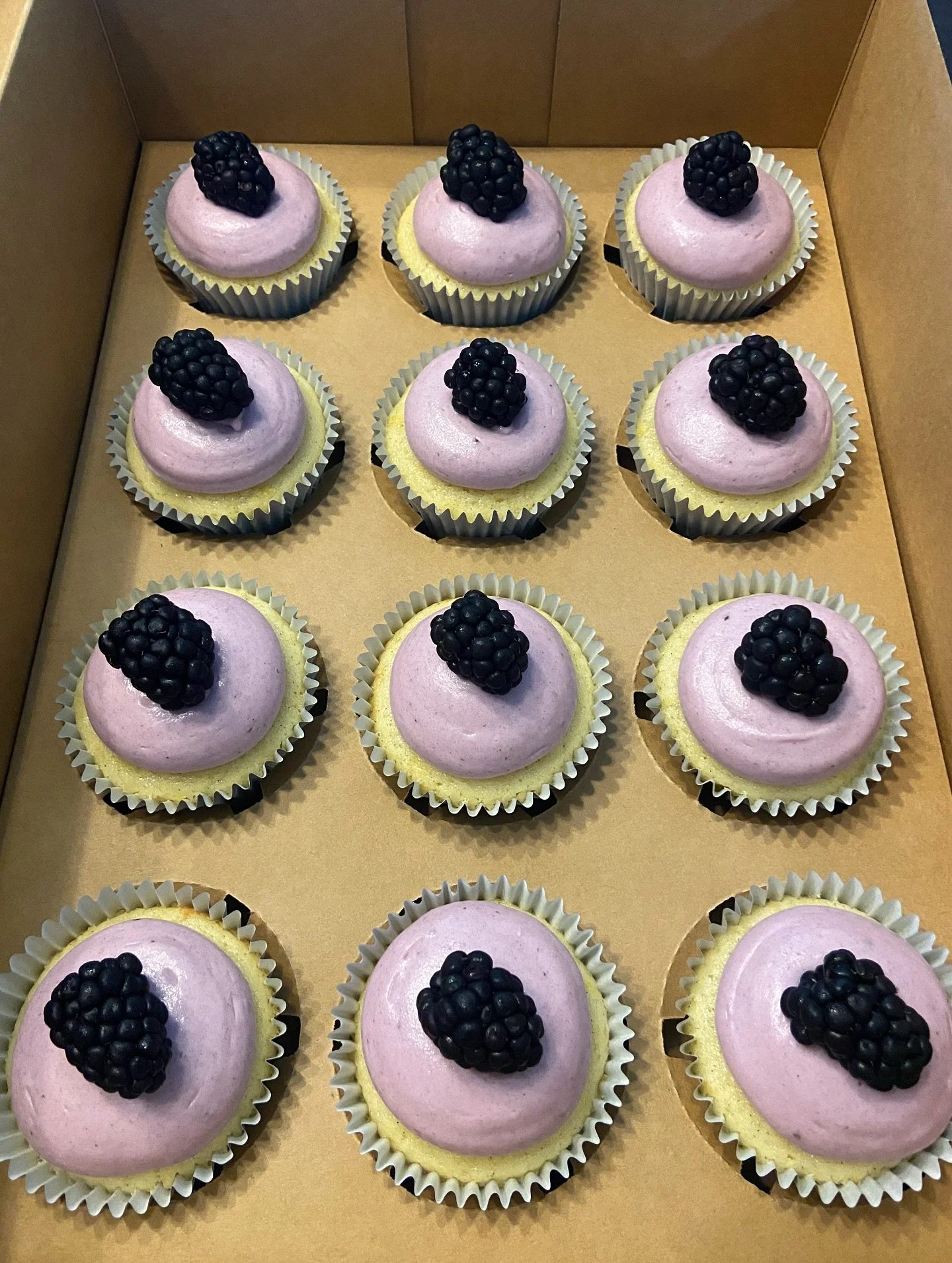 Celebrating summer with some lemon blackberry cupcakes! 🍋
#sweetgscupcakes #cupcakes #dessert #aurora #illinois #starbaker #fyp
