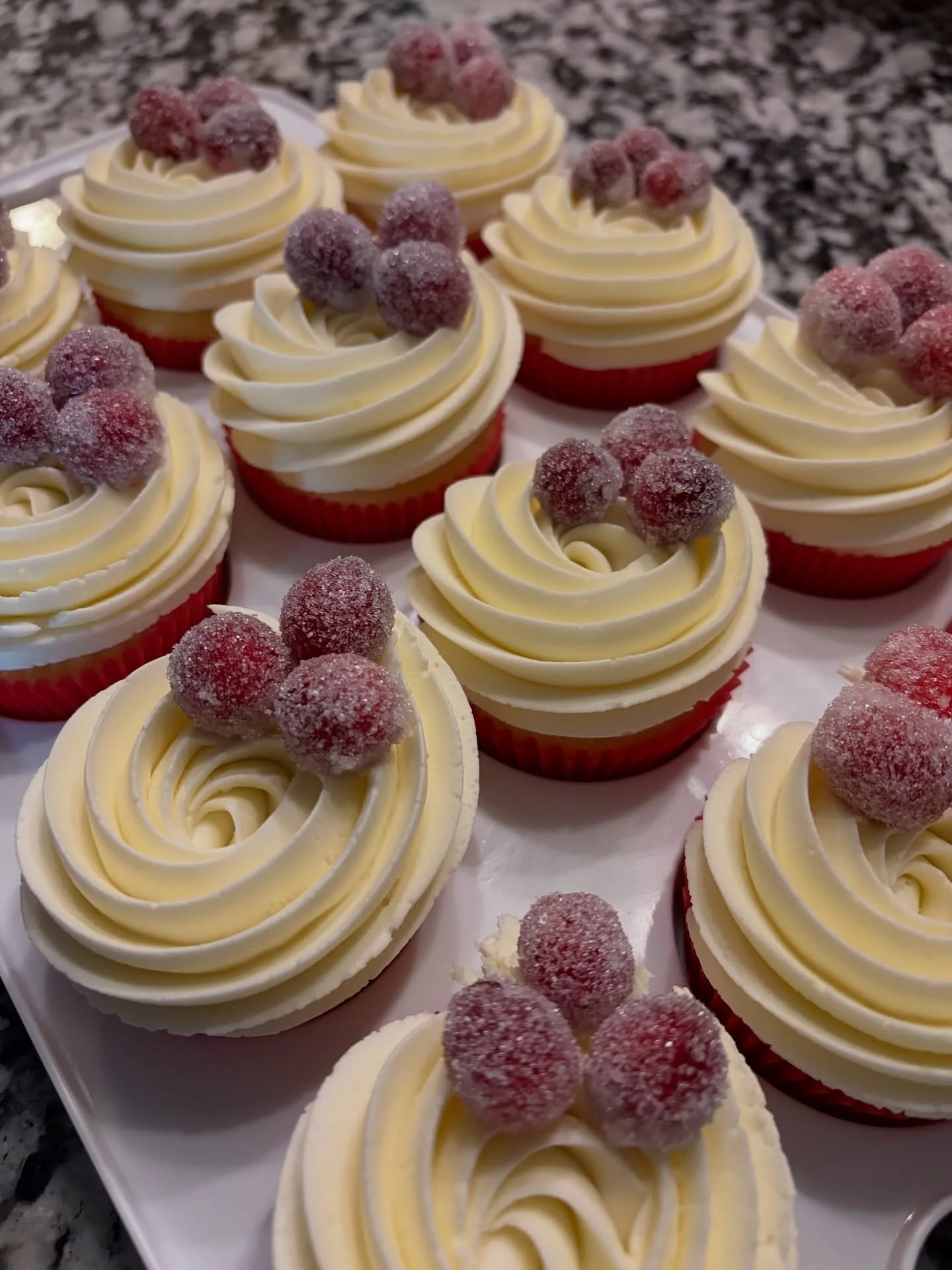 Celebrating the winter holidays with white chocolate cranberry cupcakes ☃️
#sweetgscupcakes #cupcakes #dessert #aurora #illinois #fyp