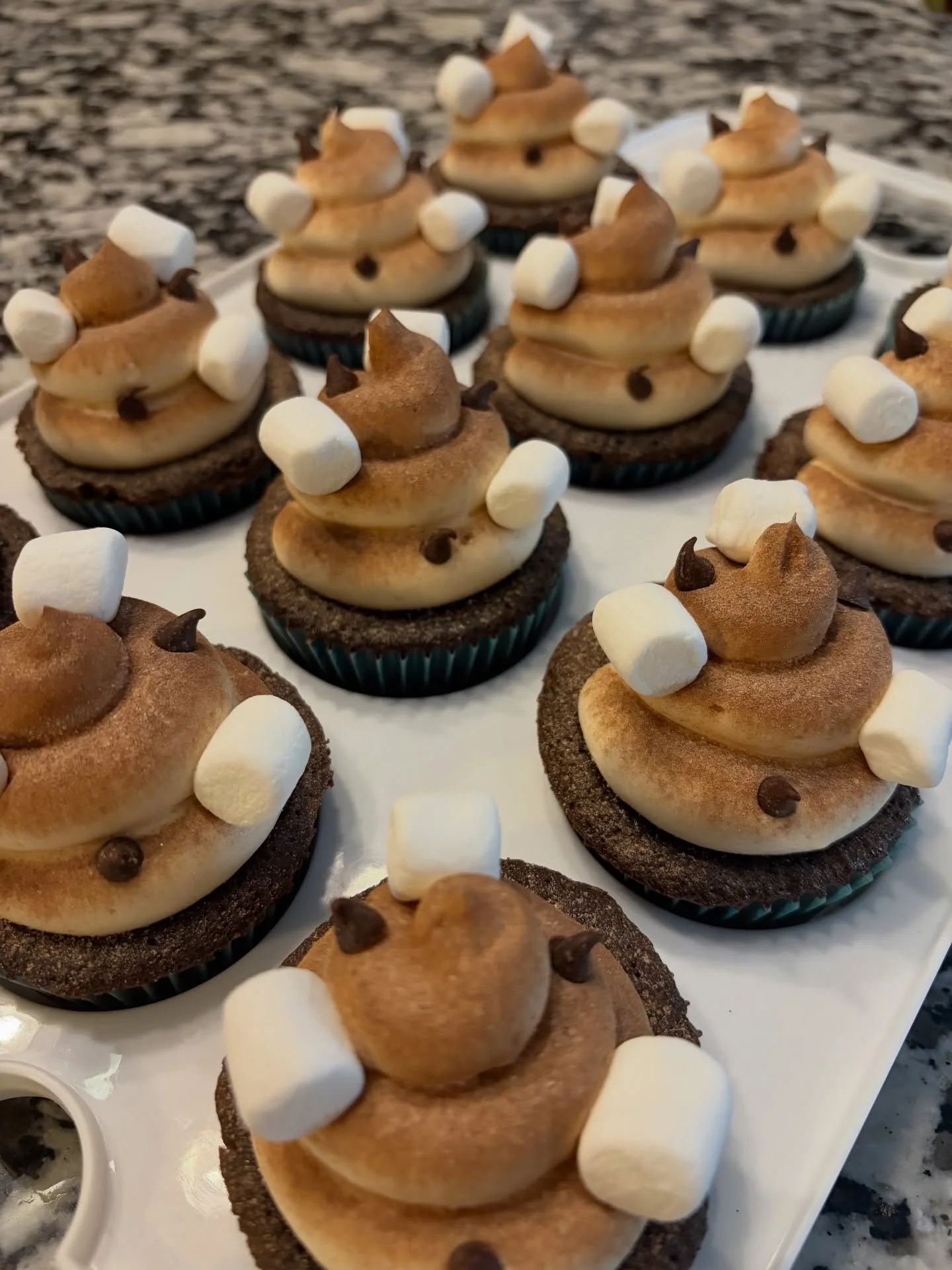 Curling up with some hot chocolate cupcakes and marshmallow frosting after the snowstorms this week ☕️🍫❄️
#sweetgscupcakes #cupcakes #dessert #aurora #illinois fyp