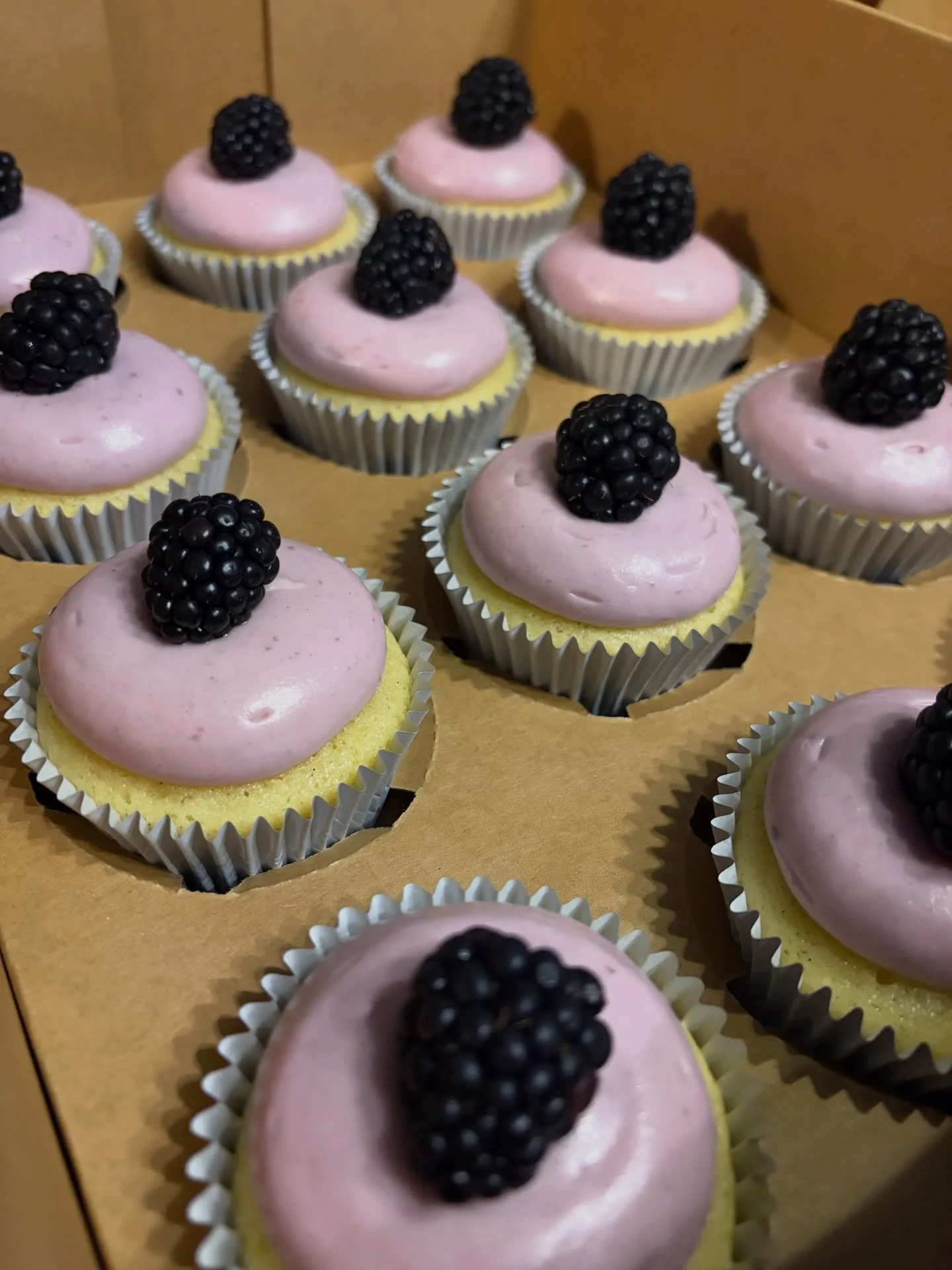 Lemon blackberry cupcakes to celebrate the spring weather 🍋☀️
#sweetgscupcakes #cupcakes #dessert #aurora #illinois