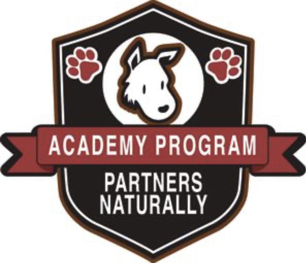Partner Up Academy