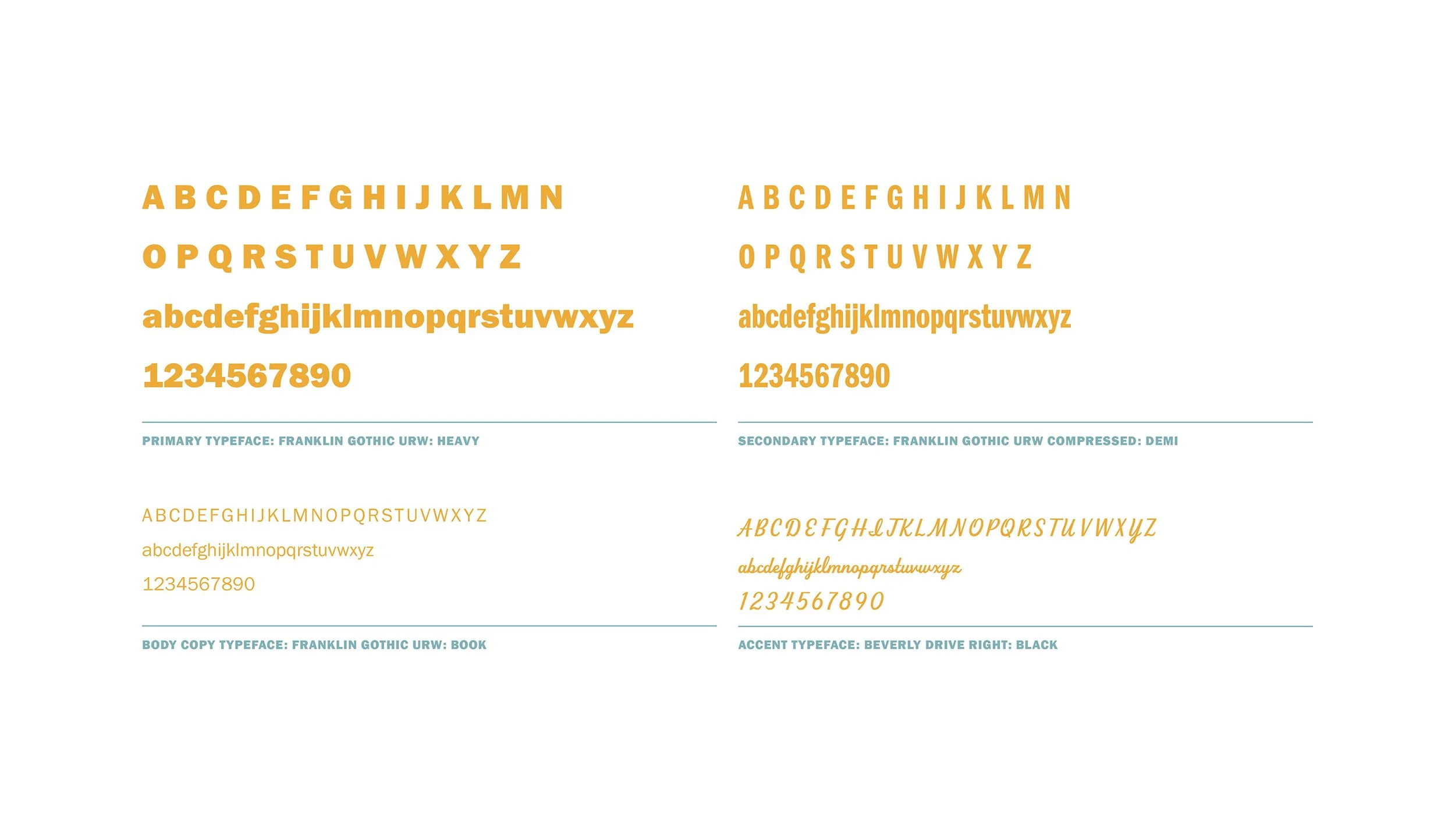 Vivi Brand Typography.jpg