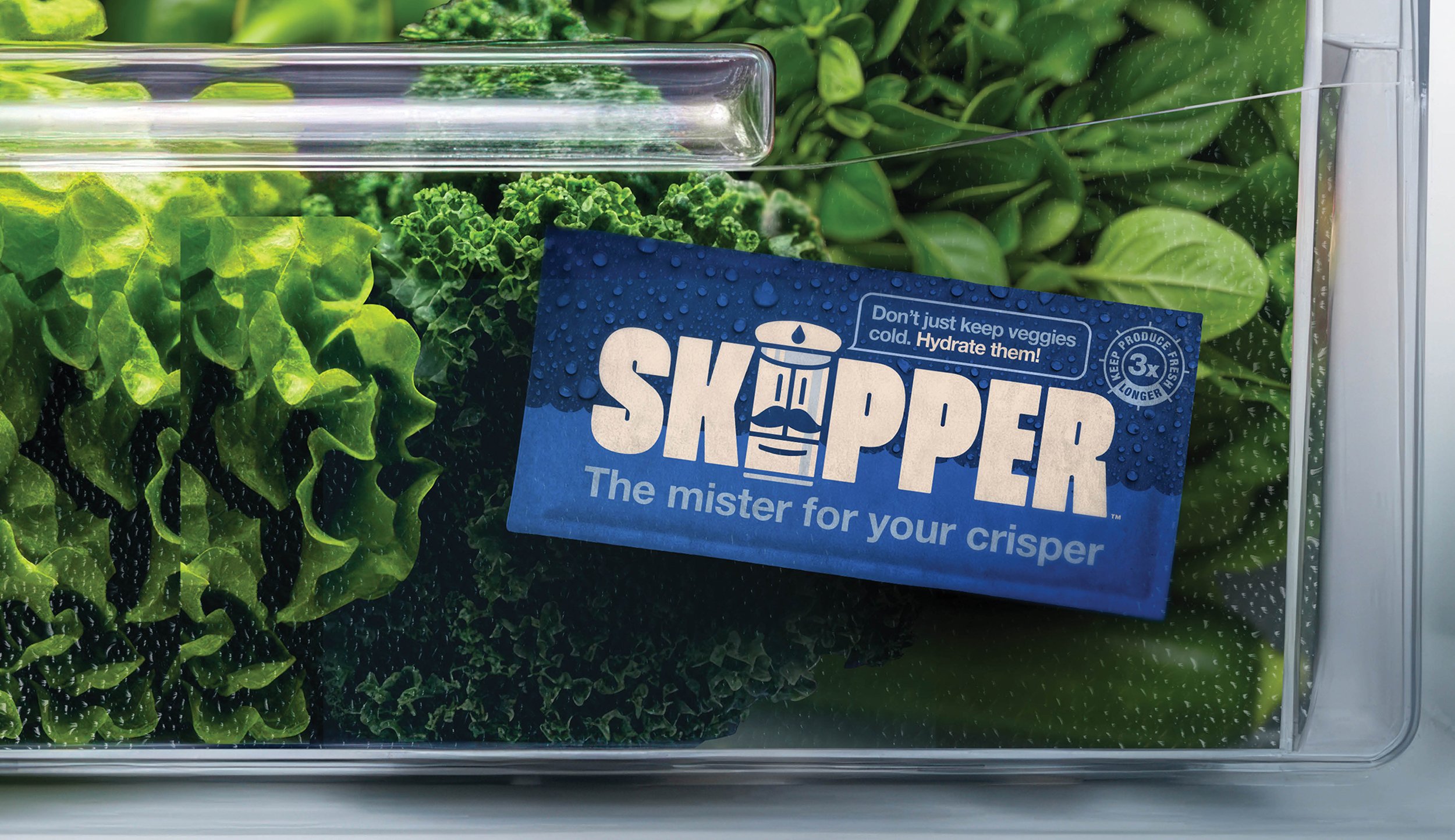 Skipper in drawer.jpg