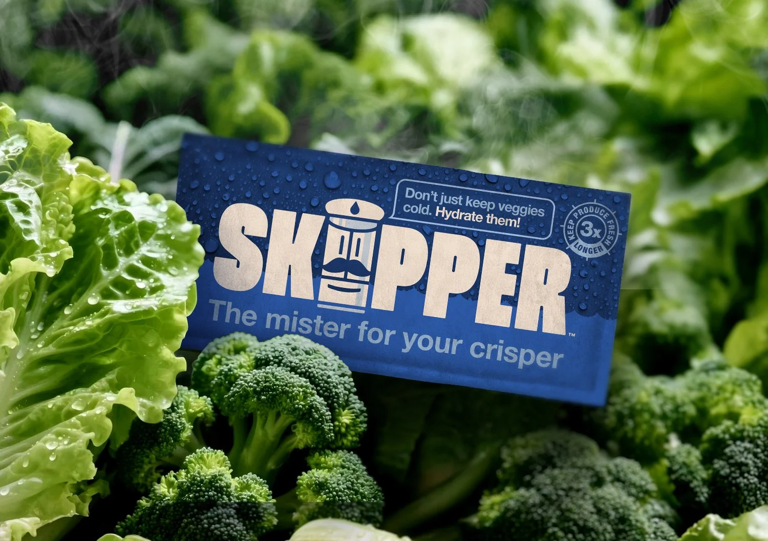 Skipper