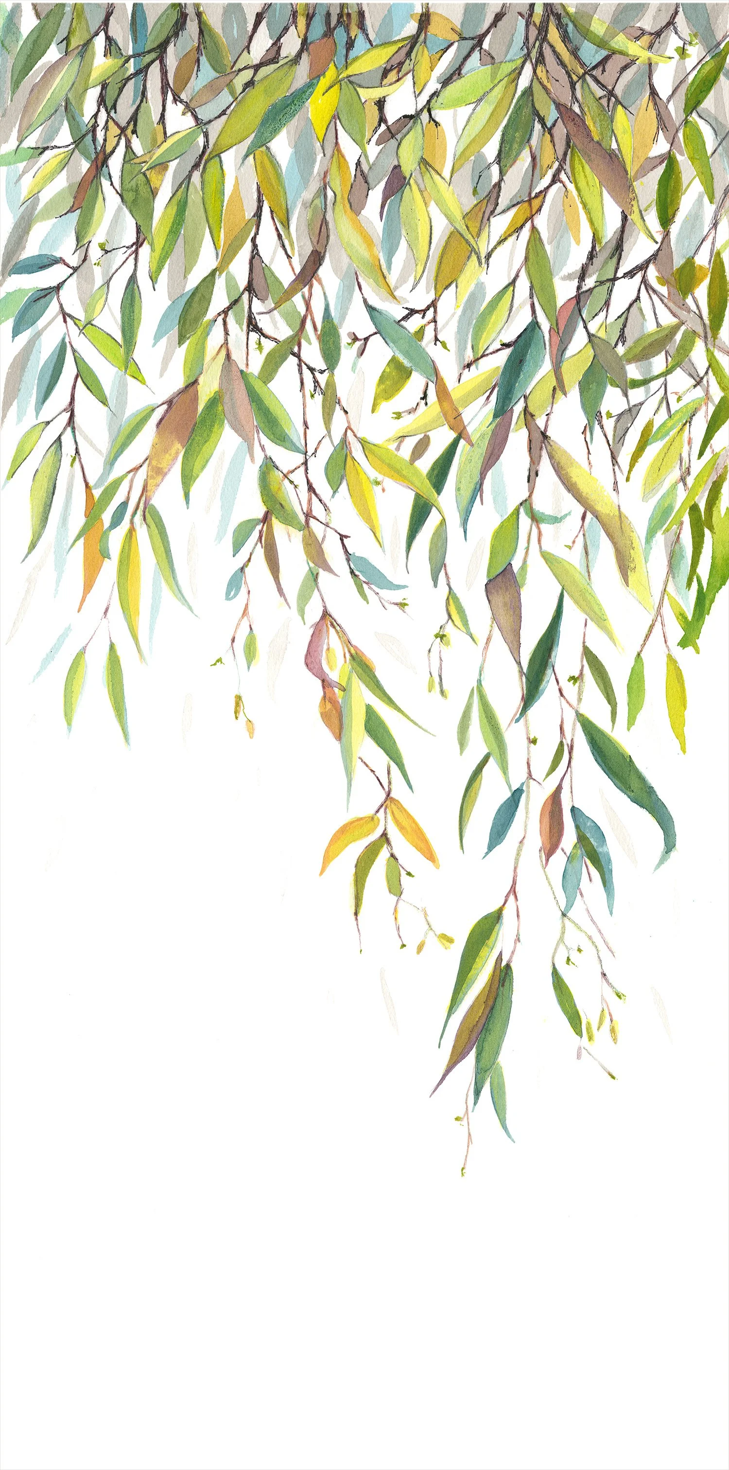 Weeping Willow