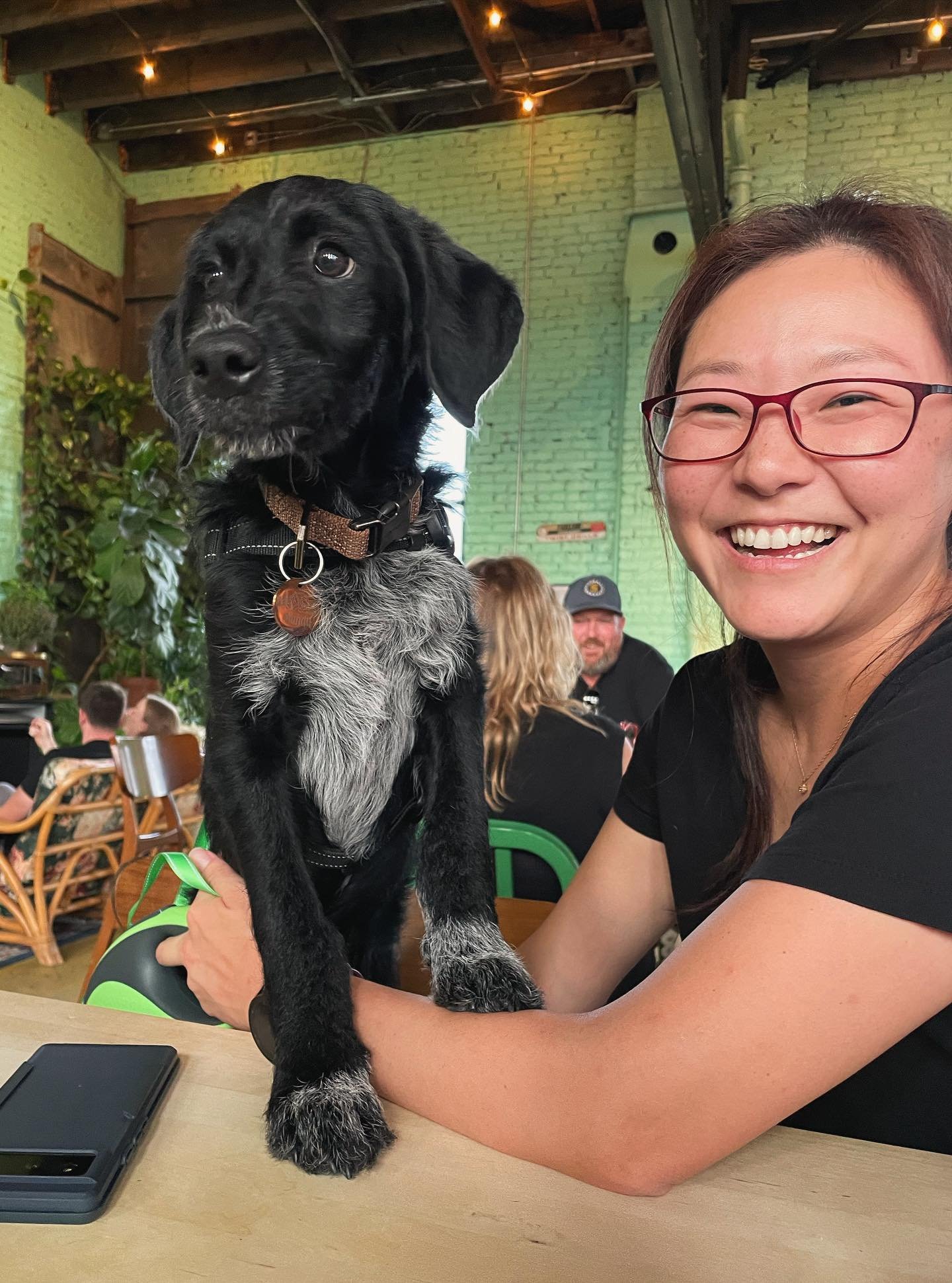 Quick appreciation post for some of our favorite brewery dogs! Friendly, well-behaved dogs are always welcome both inside the taproom and outdoors on the patio. We&rsquo;ve got water bowls to keep them hydrated, shady spots to help them cool off, and