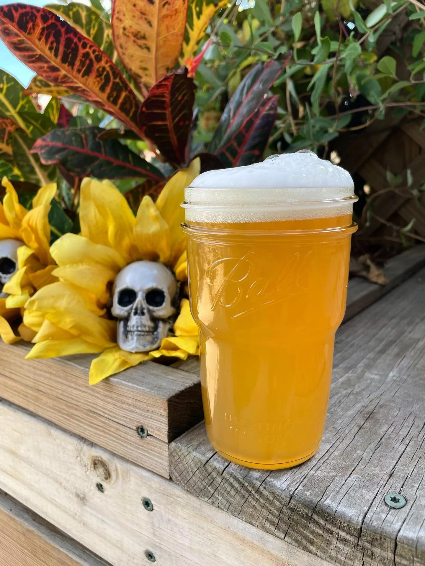 Halloween is near friends!! We’ve been busy decorating the brewery, coordinating costumes, and tapping fresh beer for all your ghastly guzzling.
Just in time for our Haunted Hothouse party next Friday, we’d like to formally introduce Gal