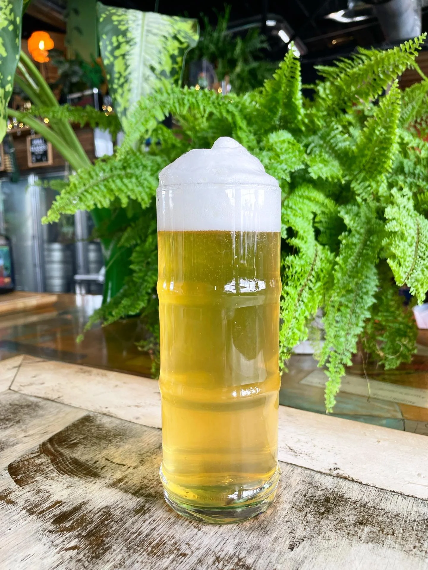 Have you tried &lsquo;The Bandit&rsquo; yet?? This unique brew is a Grodiskie, a historical beer style originating from Poland. Made exclusively with oak-smoked wheat malt, it carries a delicate and clean smokiness. Often nicknamed the champagne of b