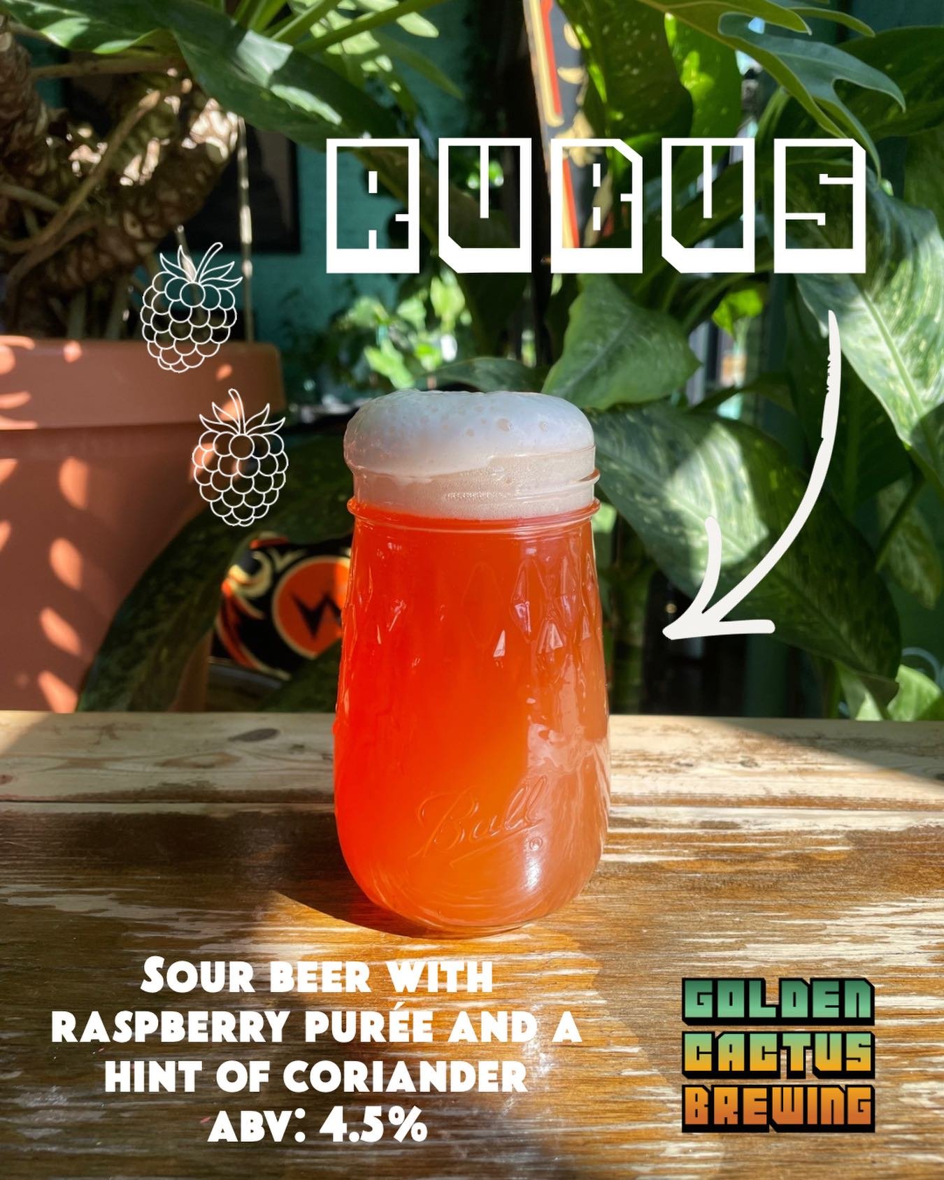 Guess who&rsquo;s back?? And just in time for our Jolene Jamboree this Sunday!

One of our recurring fan favorites, Rubus, has officially returned to the taps. This heavily fruited raspberry beer is kettle soured for a bright, refreshing tartness, th