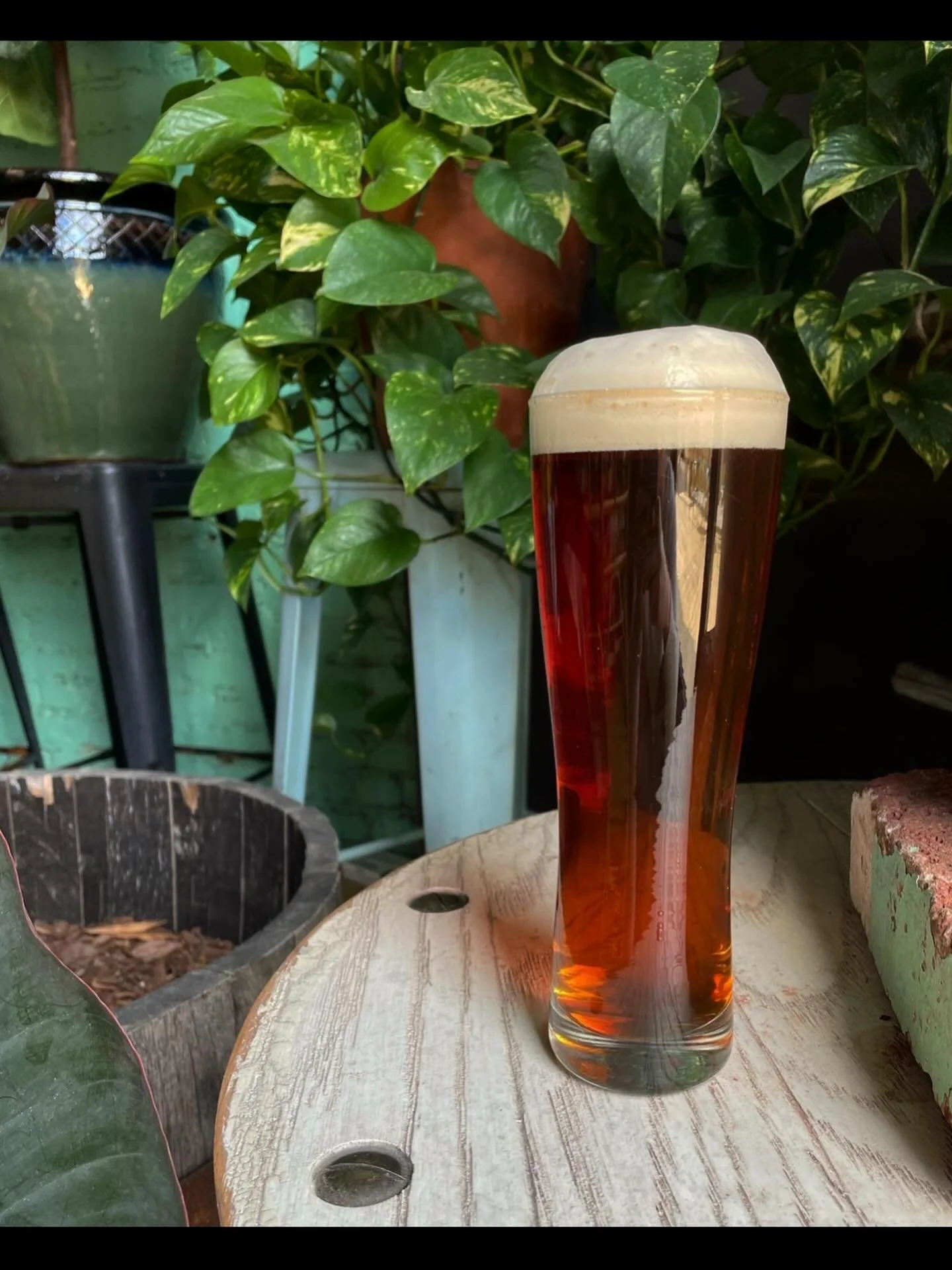 It might be a little cold out, but we&rsquo;re open! 2-8 today. So, if you feel like having a cozy beer and a pin, with maybe an underberg or two to warm your bones, come on in. Also, Dad Bod is back! (Pictured above) If you don&rsquo;t know, Dad Bod