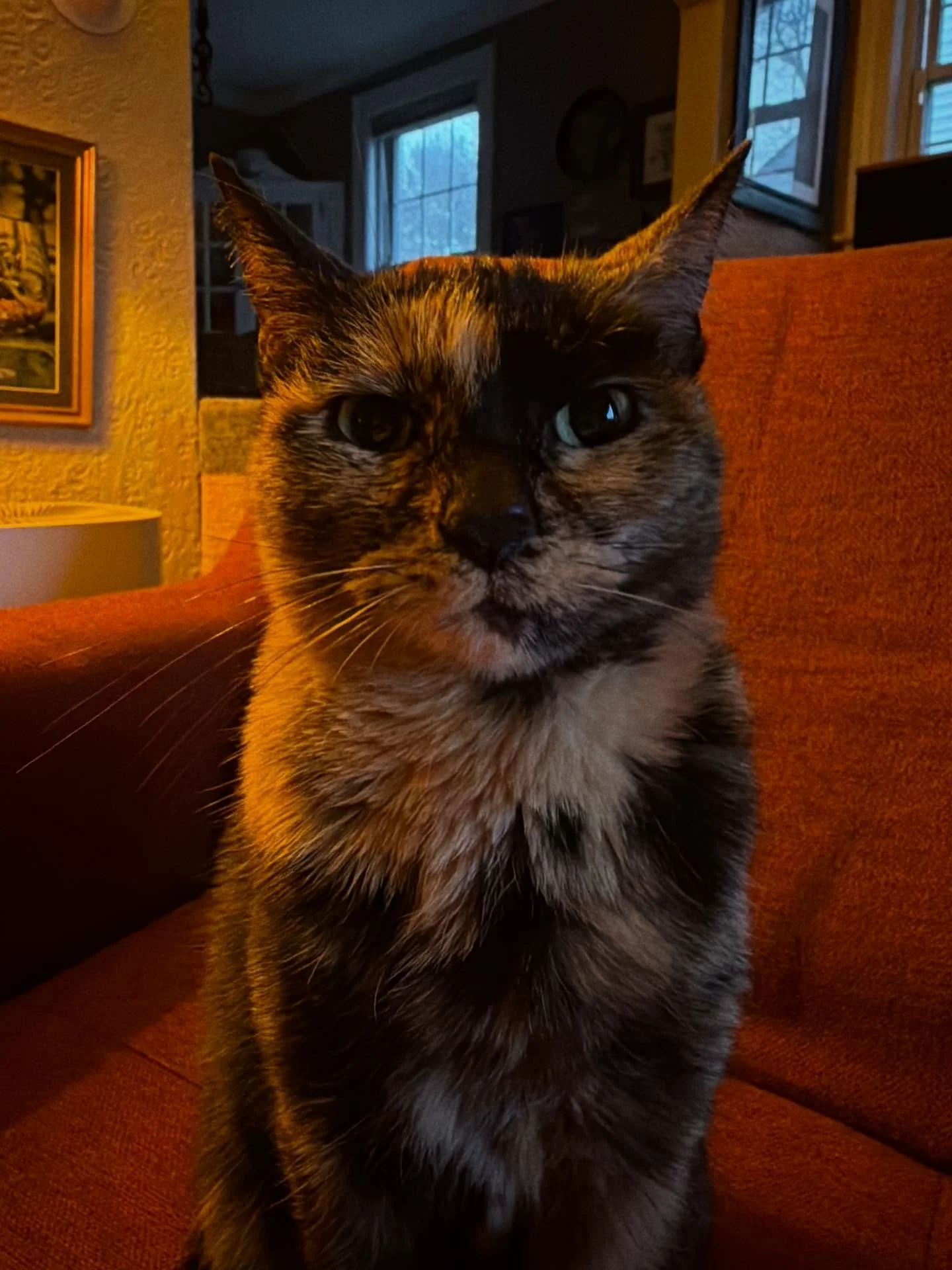 Better show up to trivia tonight, or smudge is gonna come looking fer you! 6-8, be there, or start looking over your shoulder.