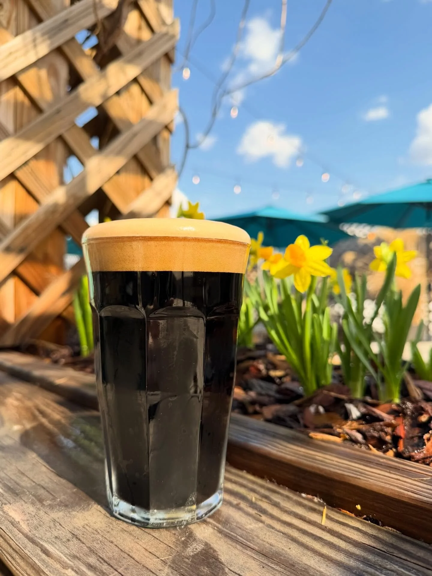 Bulbs are blooming and a fresh beer has been tapped this gorgeous Friday! Just in time for St. Patrick&rsquo;s Day, we&rsquo;re bringing Paddy Wampus back to the taps this weekend. This dry Irish stout is brewed with @simpsonsmalt Black Malt- an inte