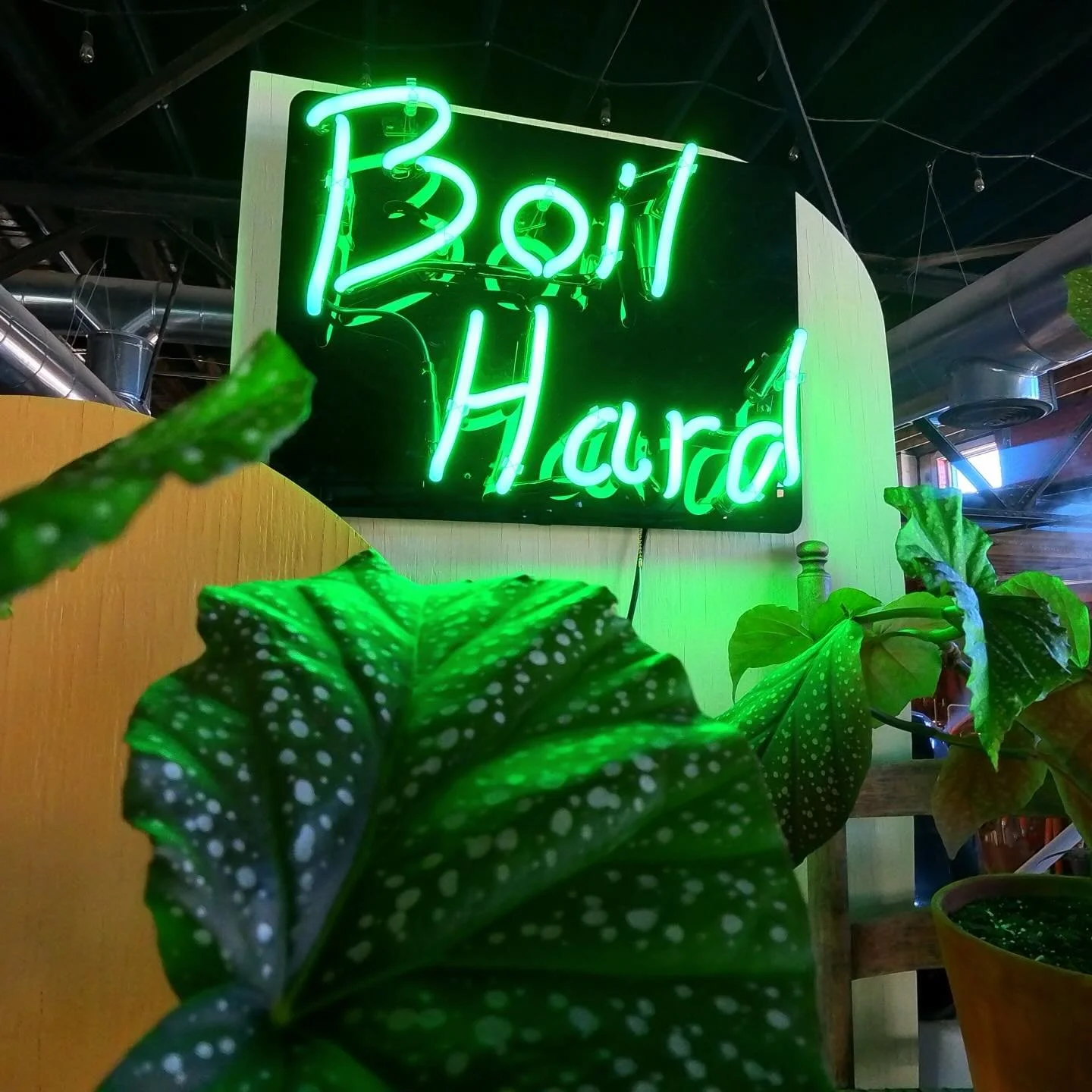 Ever wonder what the neon sign, Boil Hard, in our taproom means? Story time from Evan! 

One day we had a visitor from Germany who worked for Weihenstephaner, FOR 40 YEARS! So, obviously, I listened to every single word he said, and made sure to ask 