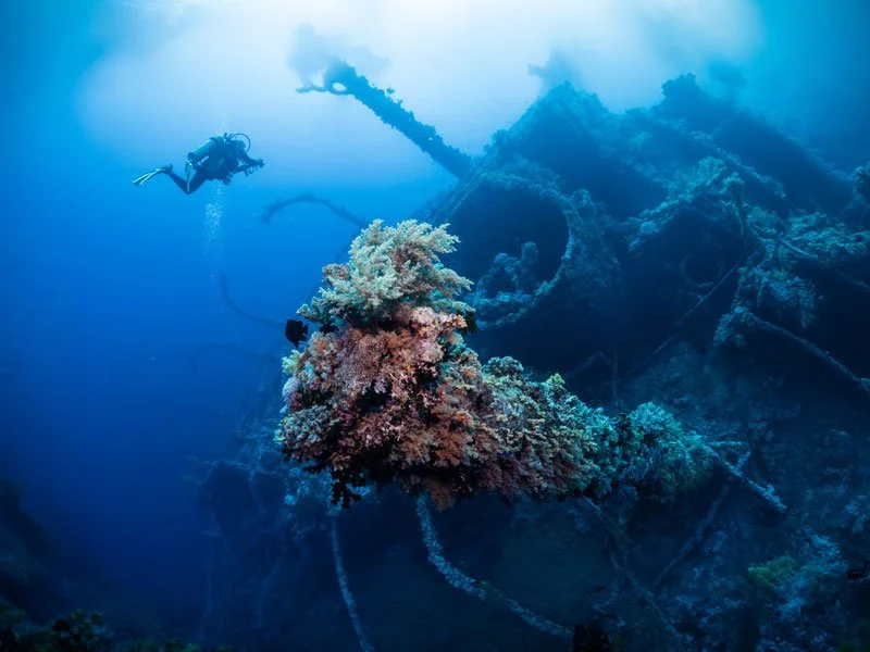 2027 Dive Trip - Explore the Legendary Red Sea