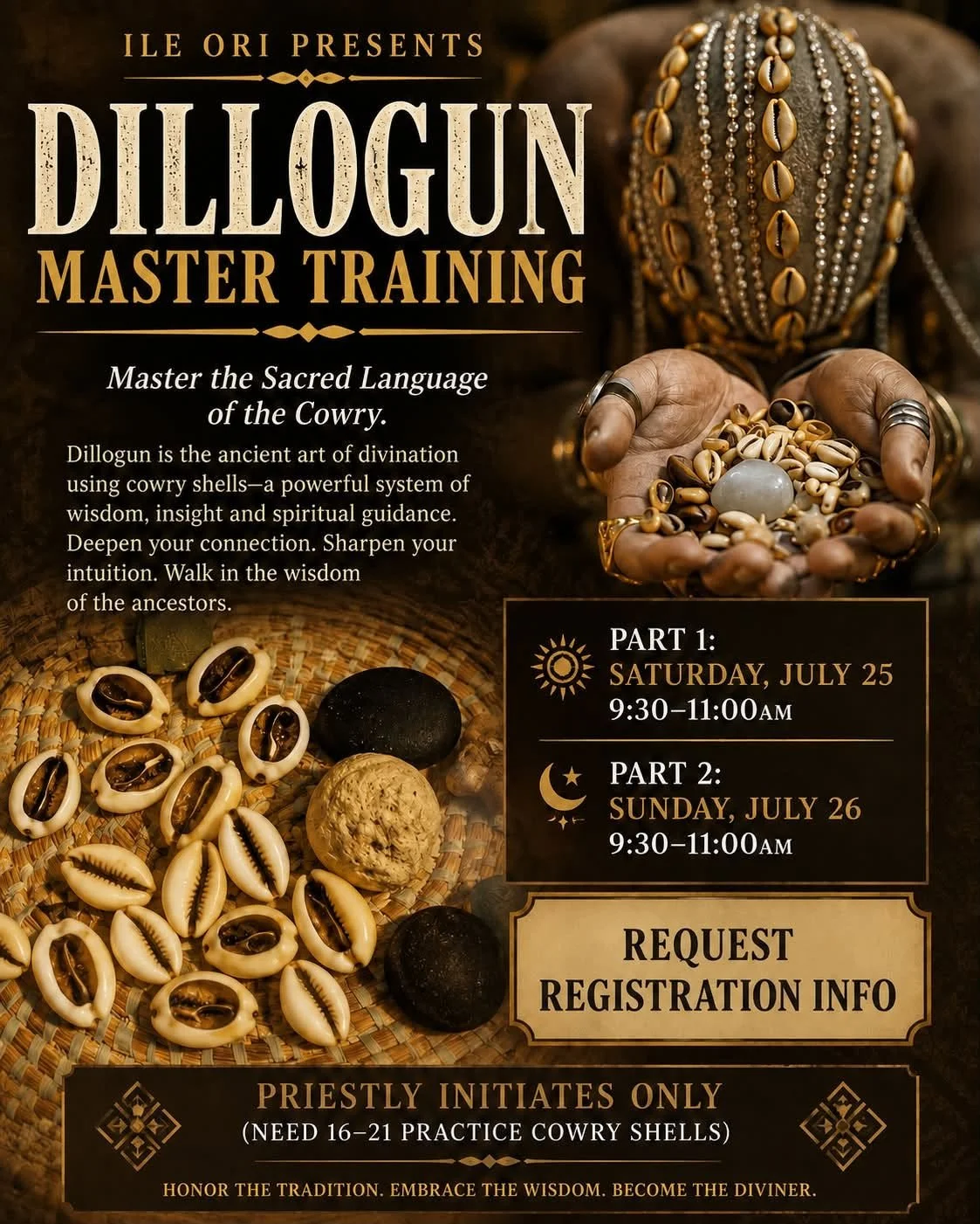 Dillogun Master Training