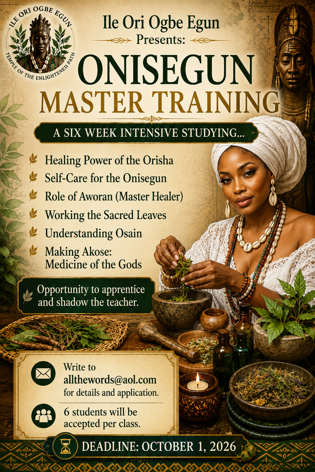Onisegun Master Studies Training