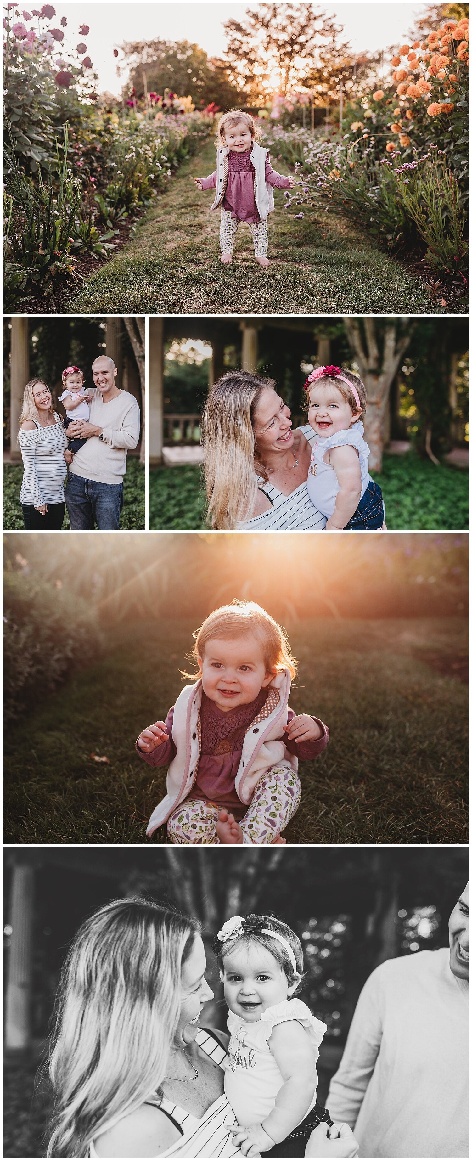 CT-Family-photographer-harknes-park-09.jpg