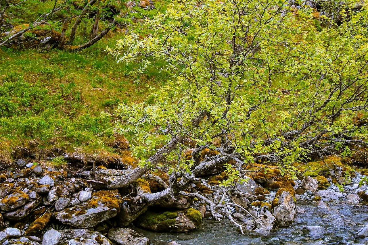 zoom in of nature

📸: Canon EOS Rebel T7