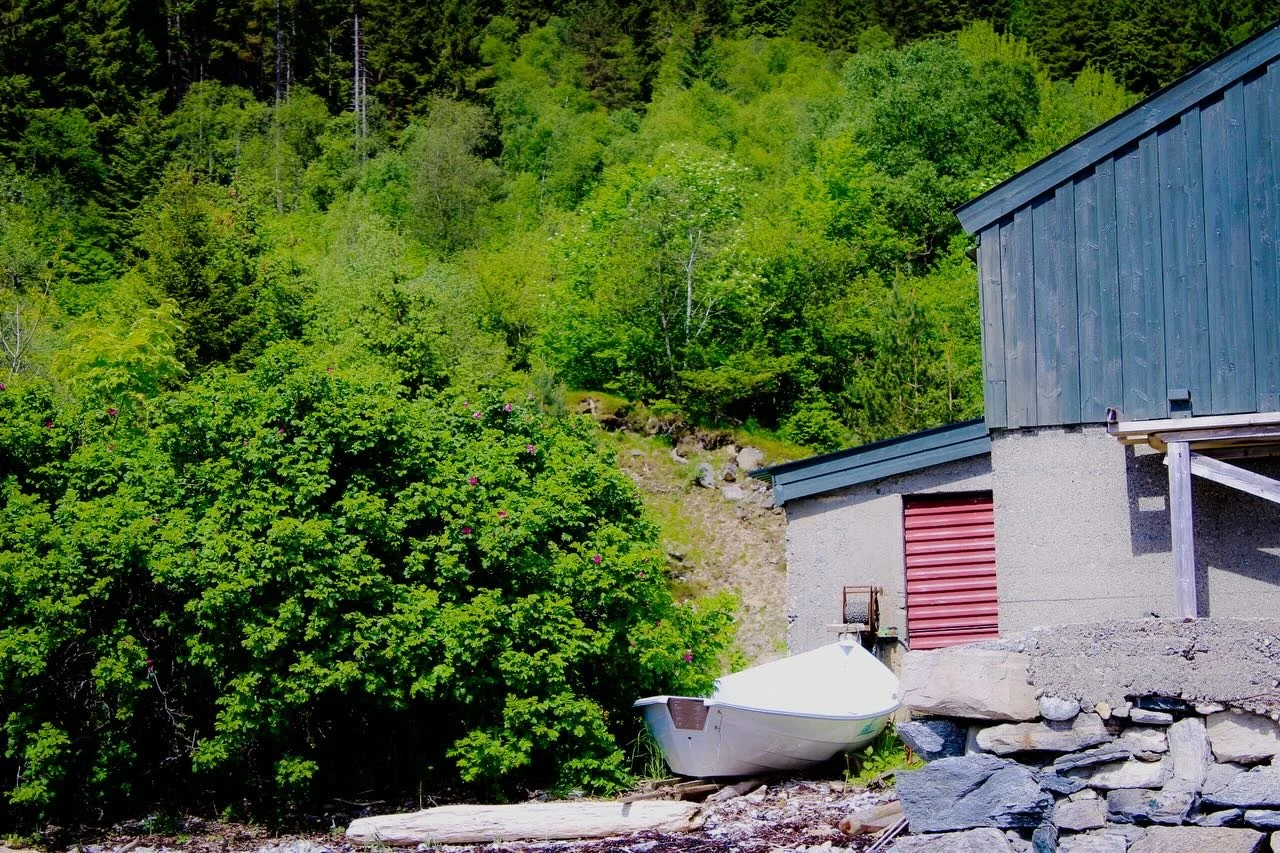 blue means you 

📸: Canon EOS Rebel T7